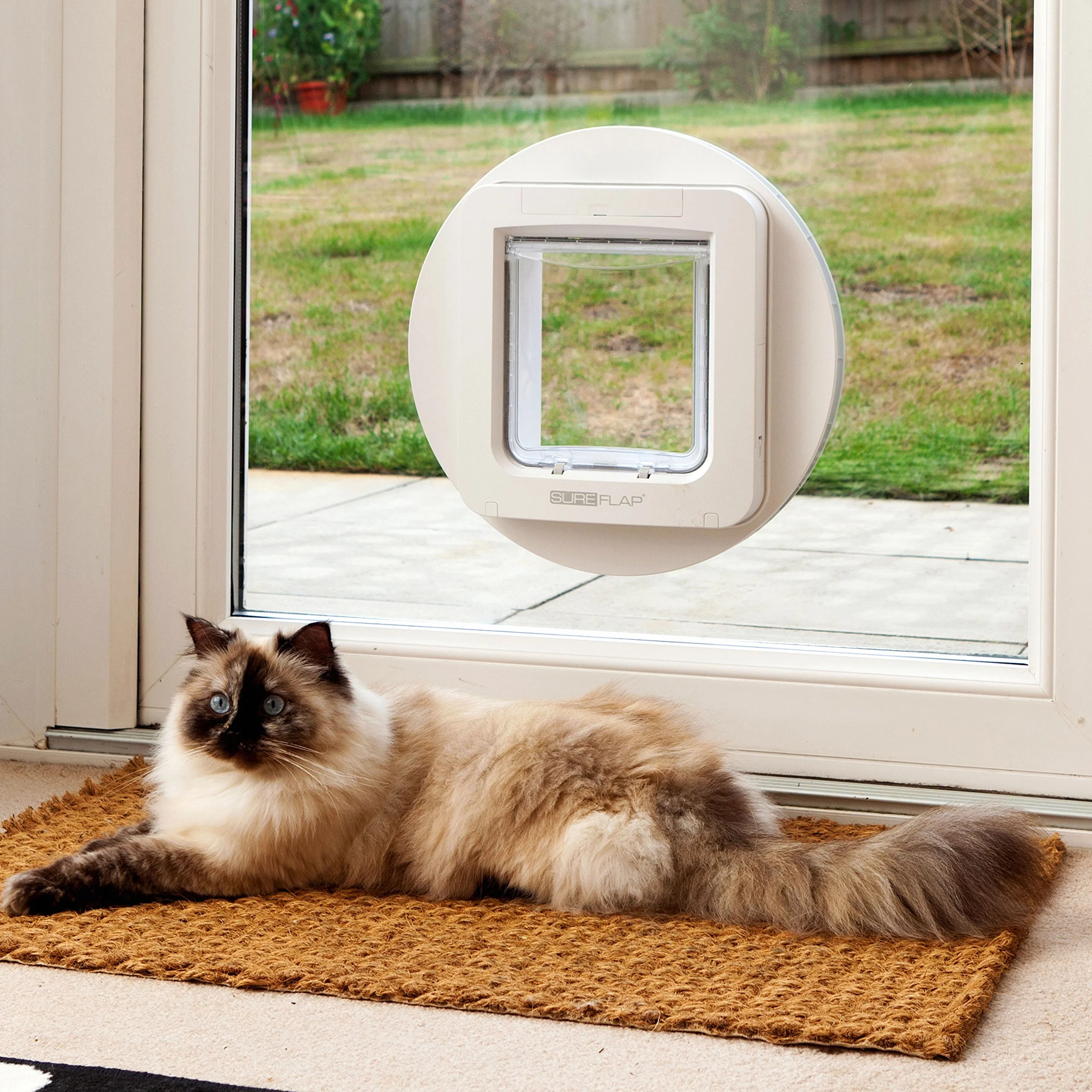 SureFlap Sure Petcare Grande chatière à Puce électronique pour Chats et Petits Chiens, Marron