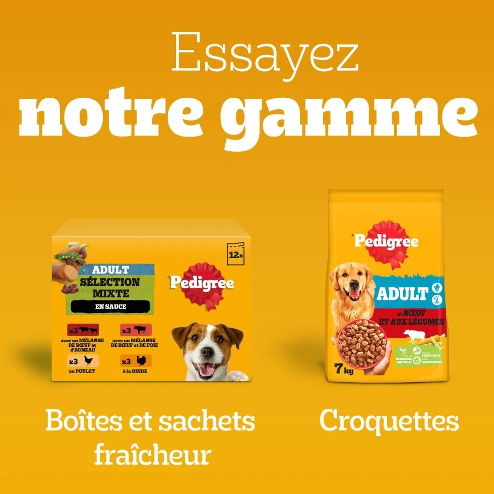 Pedigree DENTASTIX 56 Bâtonnets à Mâcher pour Grand Chiens 25kg+, 8 Sachets de 7, Saveur Poulet et Bœuf