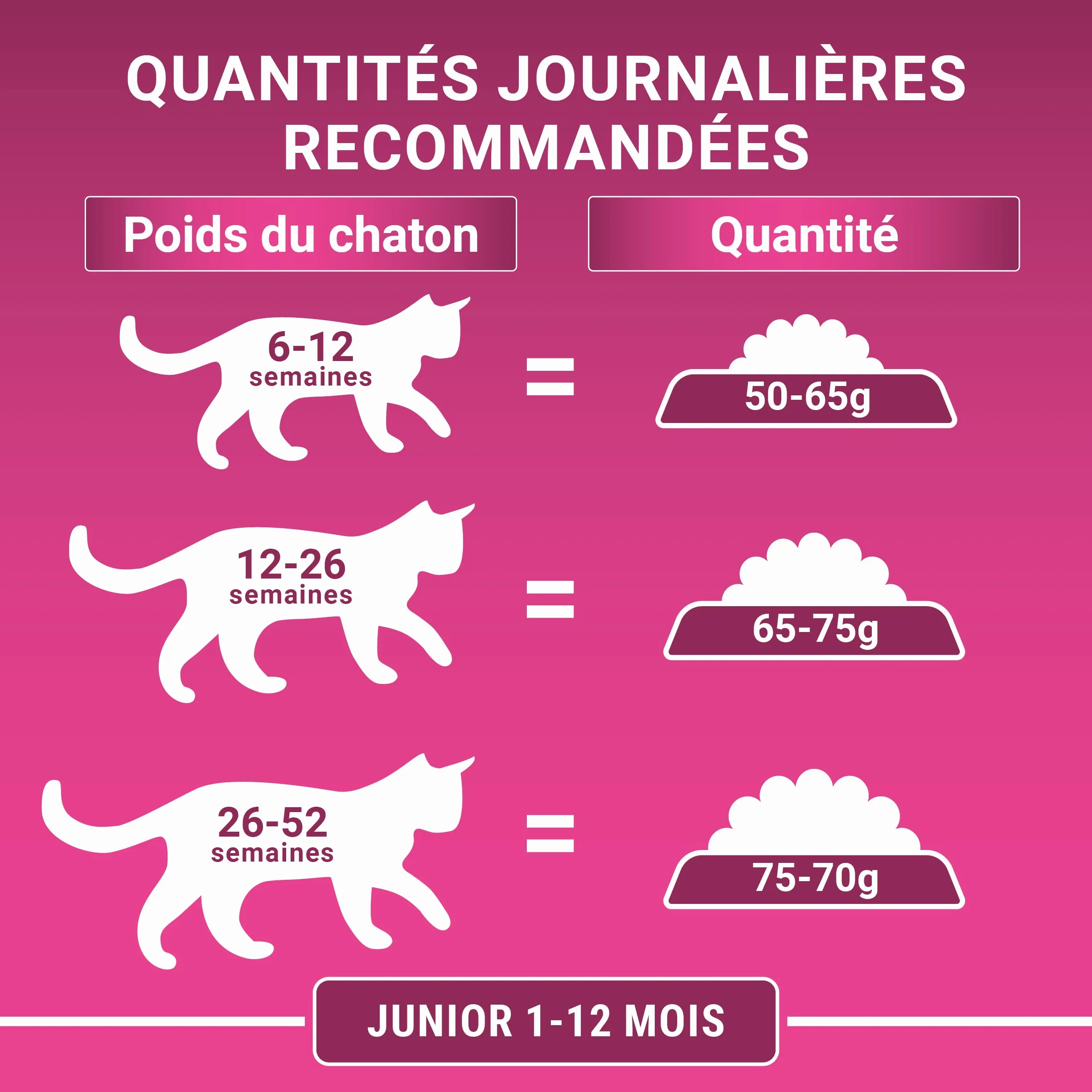 PURINA ONE BIFENSIS JUNIOR Croquettes Chaton jusqu'à 12 mois Chattes Gestation Poulet 450g