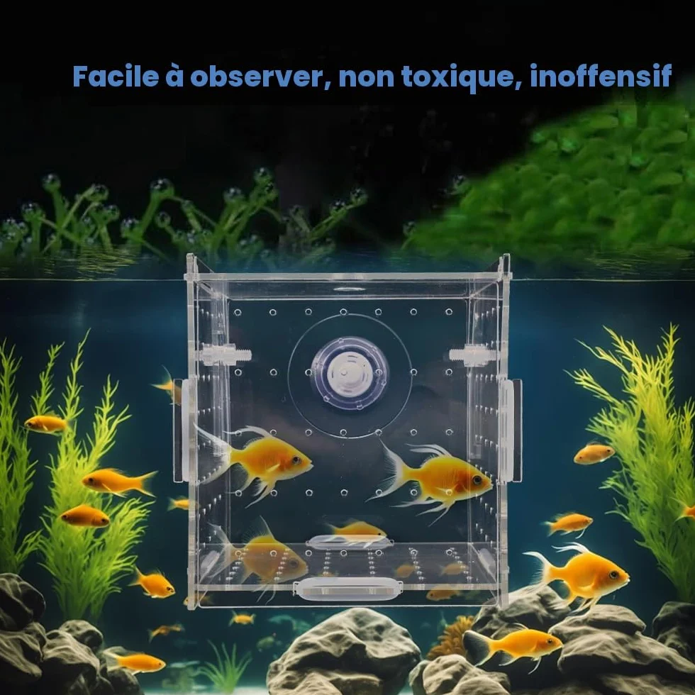 Boîte d'isolation d'aquarium en acrylique 10×10×10 cm transparente avec trous d'aération et ventouses