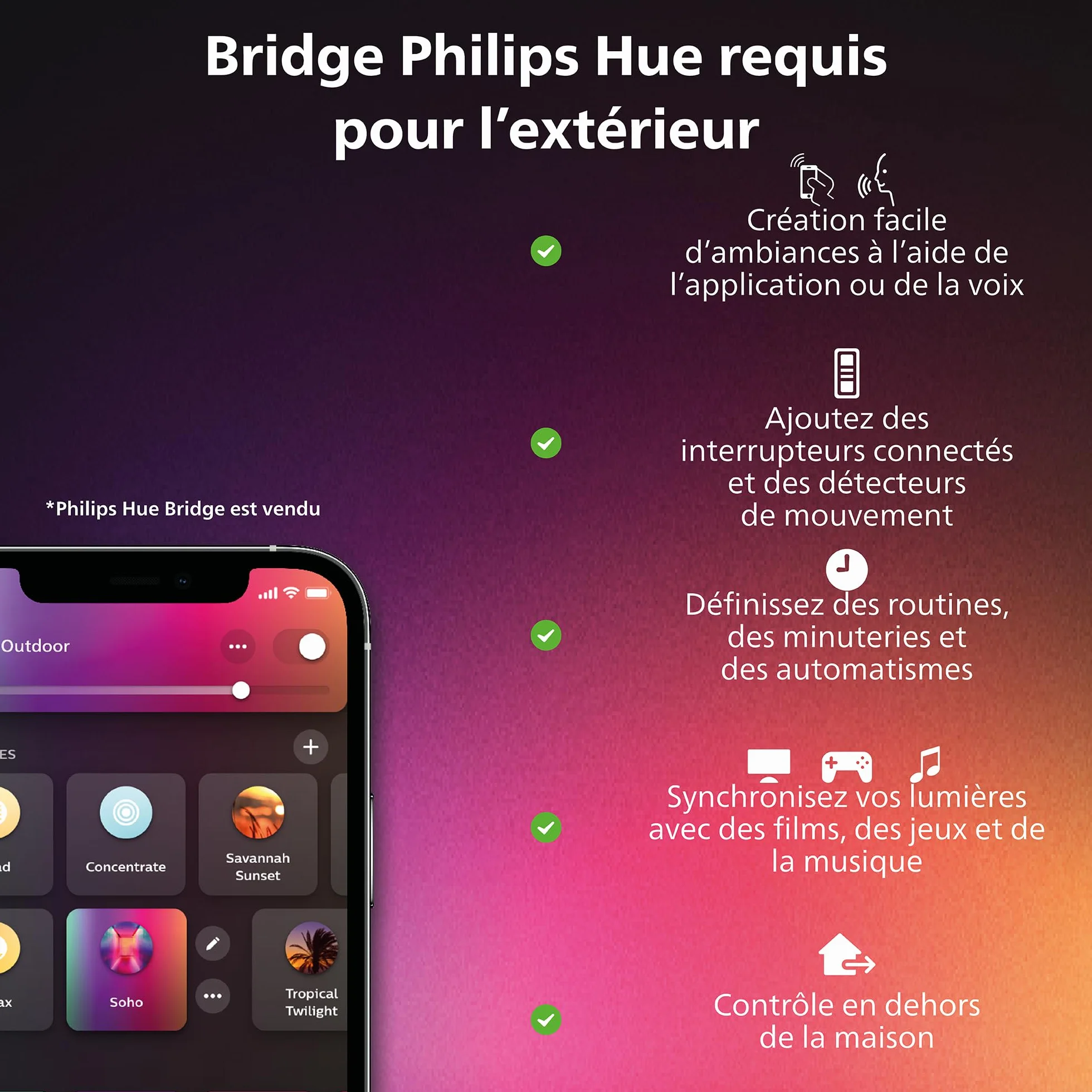 Philips Hue White & Color Ambiance LILY Kit 3 Spots 8W Anthracite LED extérieur compatible Alexa Google Assistant Apple Homekit