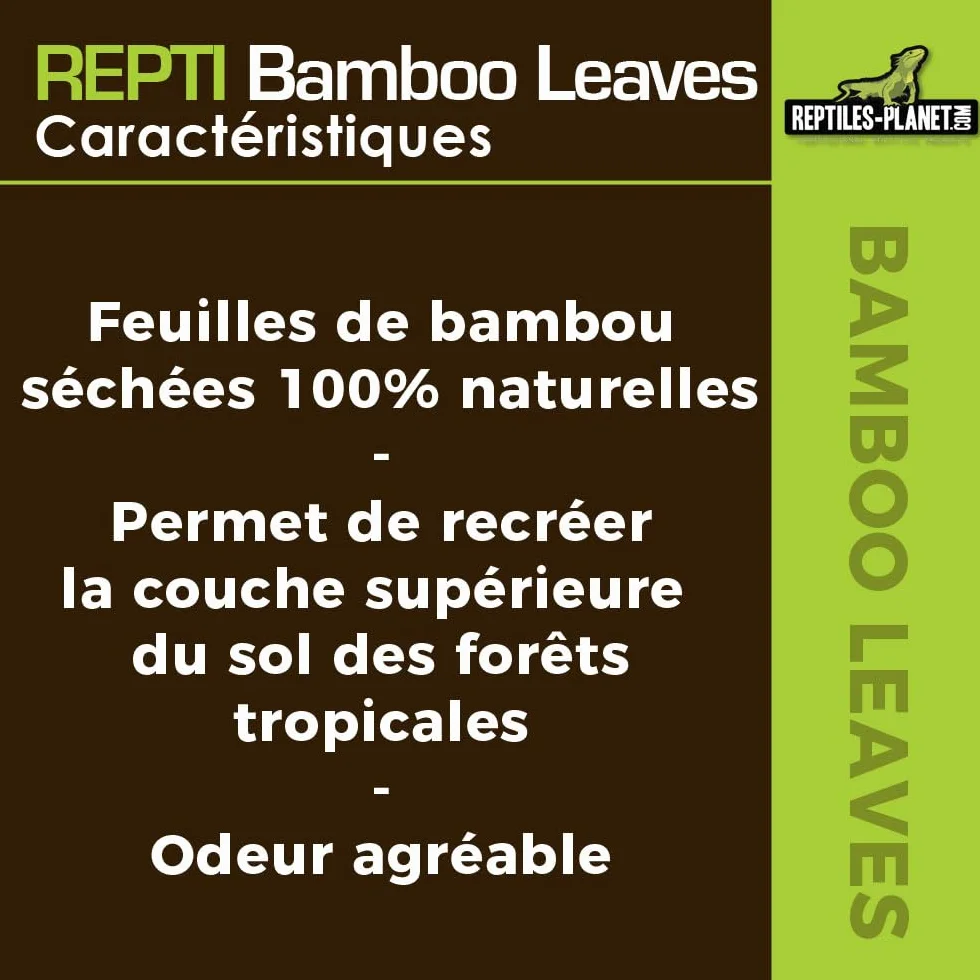 REPTILES PLANET Repti Bamboo Leaves Feuilles de Bambou Naturelles 2 litres Marron Clair