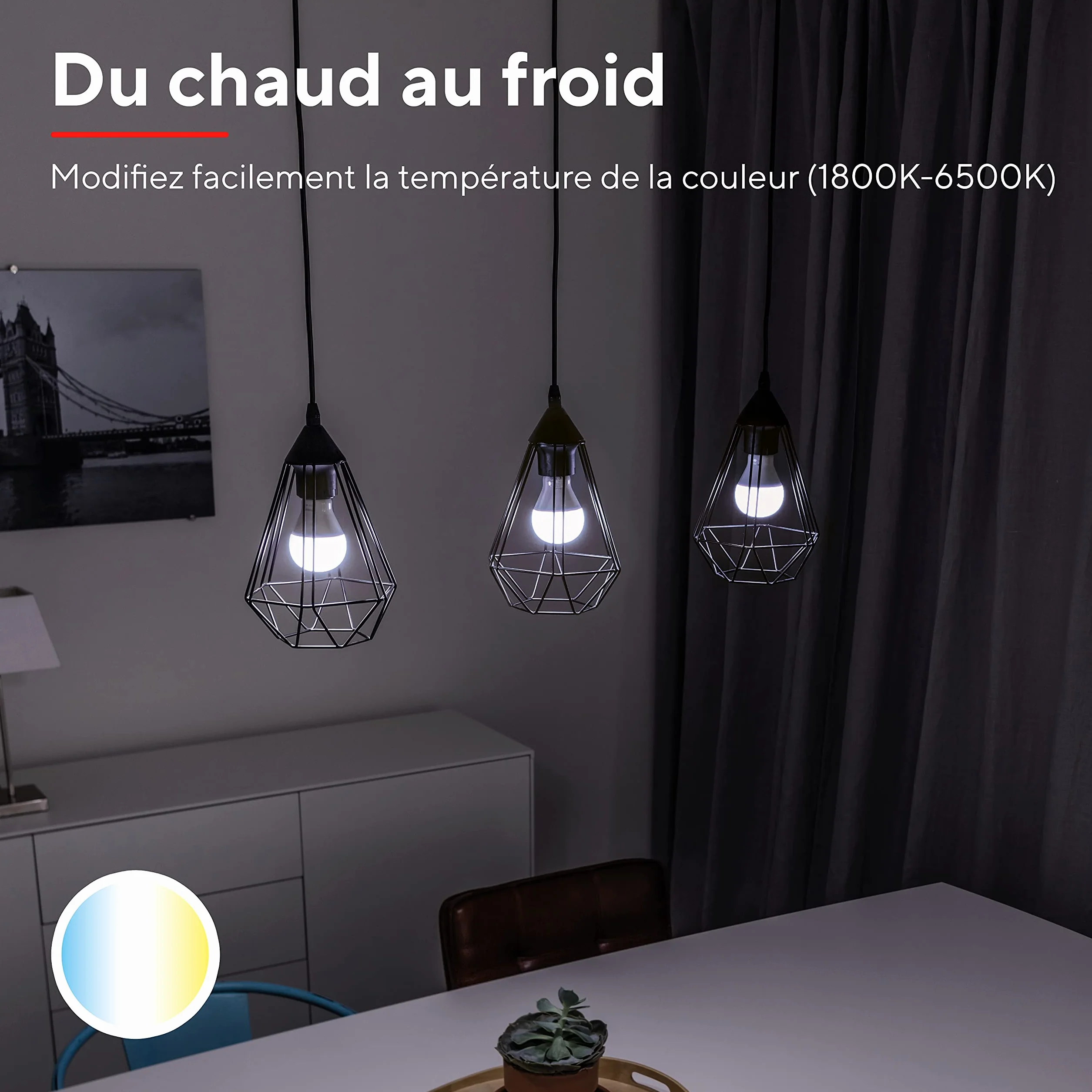 Ampoule Connectée WiFi E27 Compatible Alexa Google Home, Dimmable Sans Hub, 2.4GHz LED Lampe Blanc Chaud Froid, Lot de 2