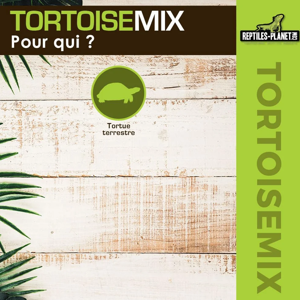 Reptiles Planet Tortoisemix Mélange de Graines à Germer Nourriture pour Tortues Terrestres
