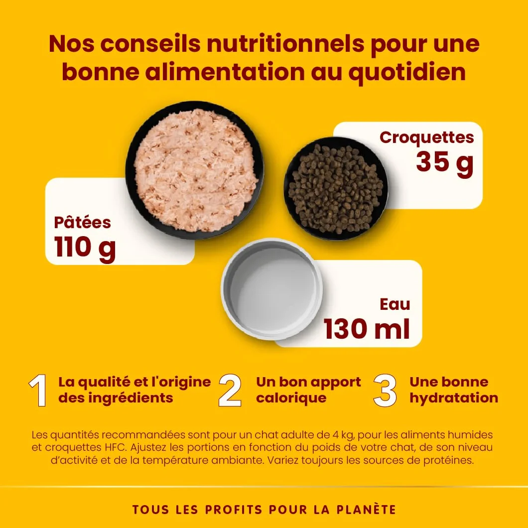 Almo Nature HFC Natural Nourriture Humide pour Chats Thon de l'Atlantique 70g Lot de 6