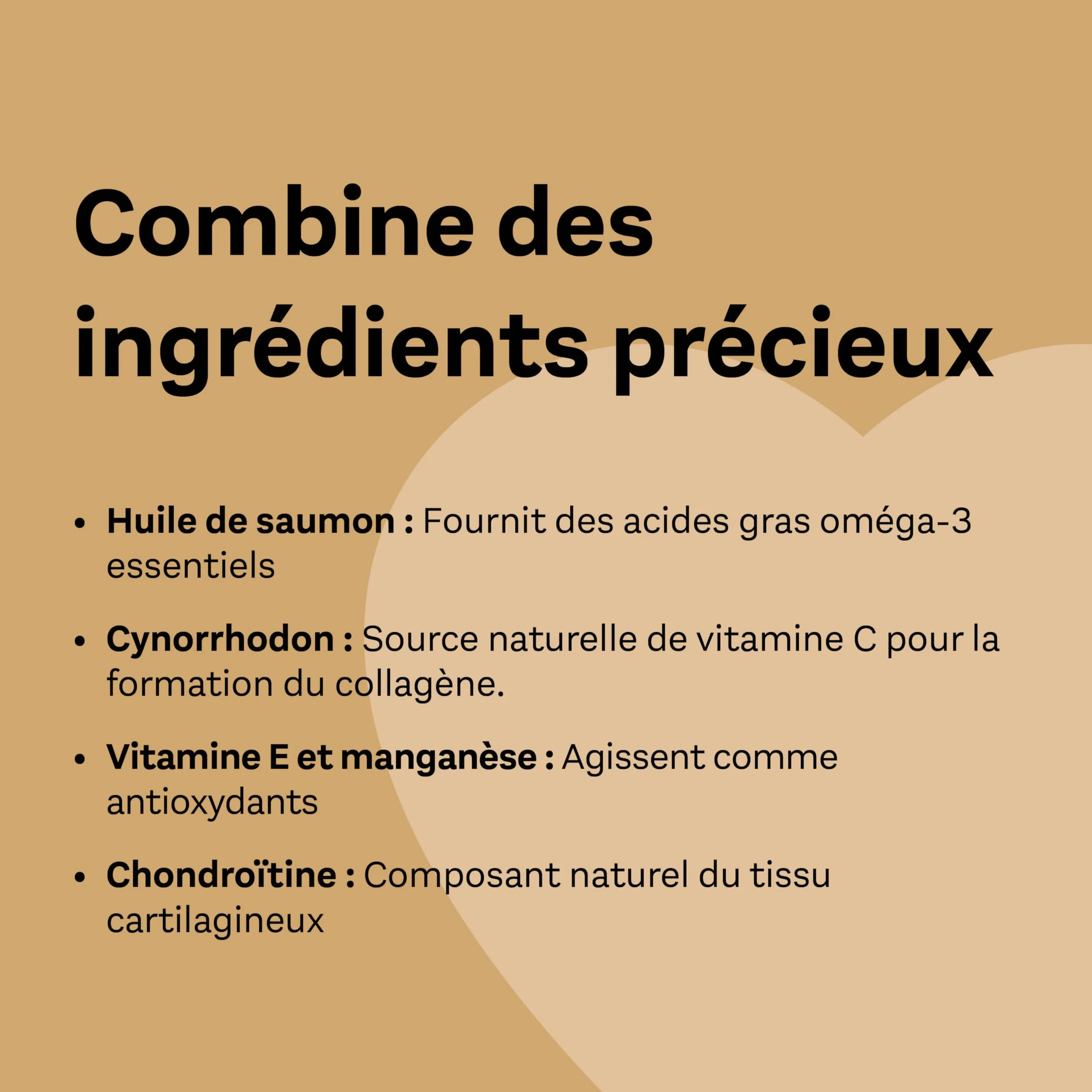 Doppelherz Complexe articulations pour Chats, Soutien du métabolisme, Acides Gras oméga-3, vitamines E et A, 25 Licks