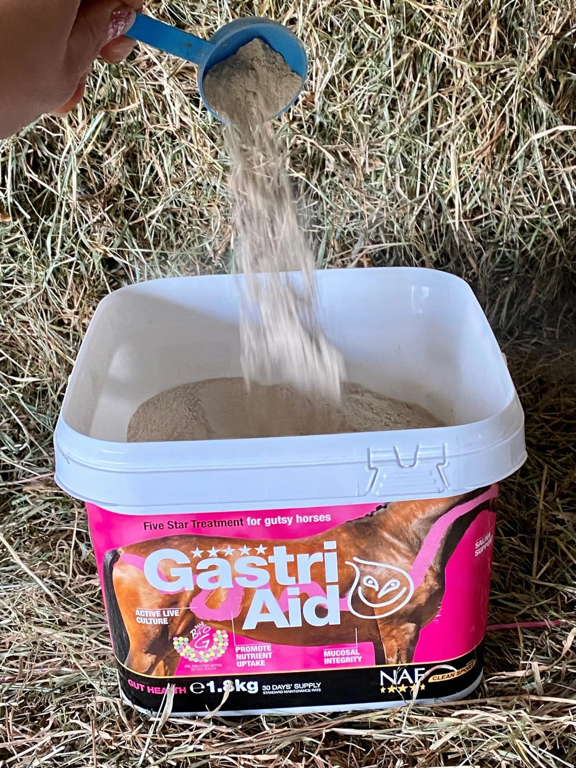 NAF Five Star GastriAid Complément alimentaire avancé pour la santé intestinale chevaux