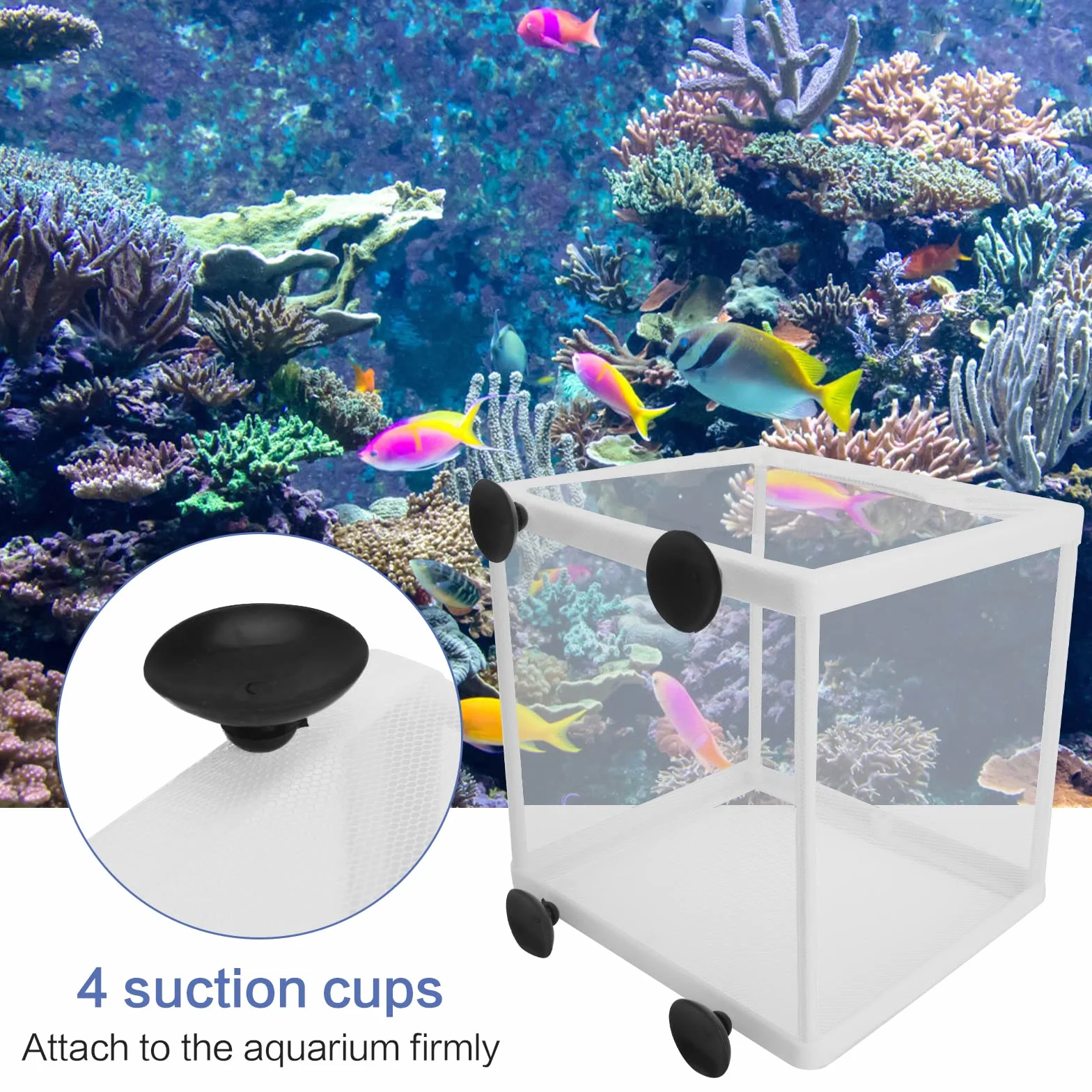 Aquarium Fish Breeding Box 2 Pcs Incubator Isolation Net with 8 Suction Cups