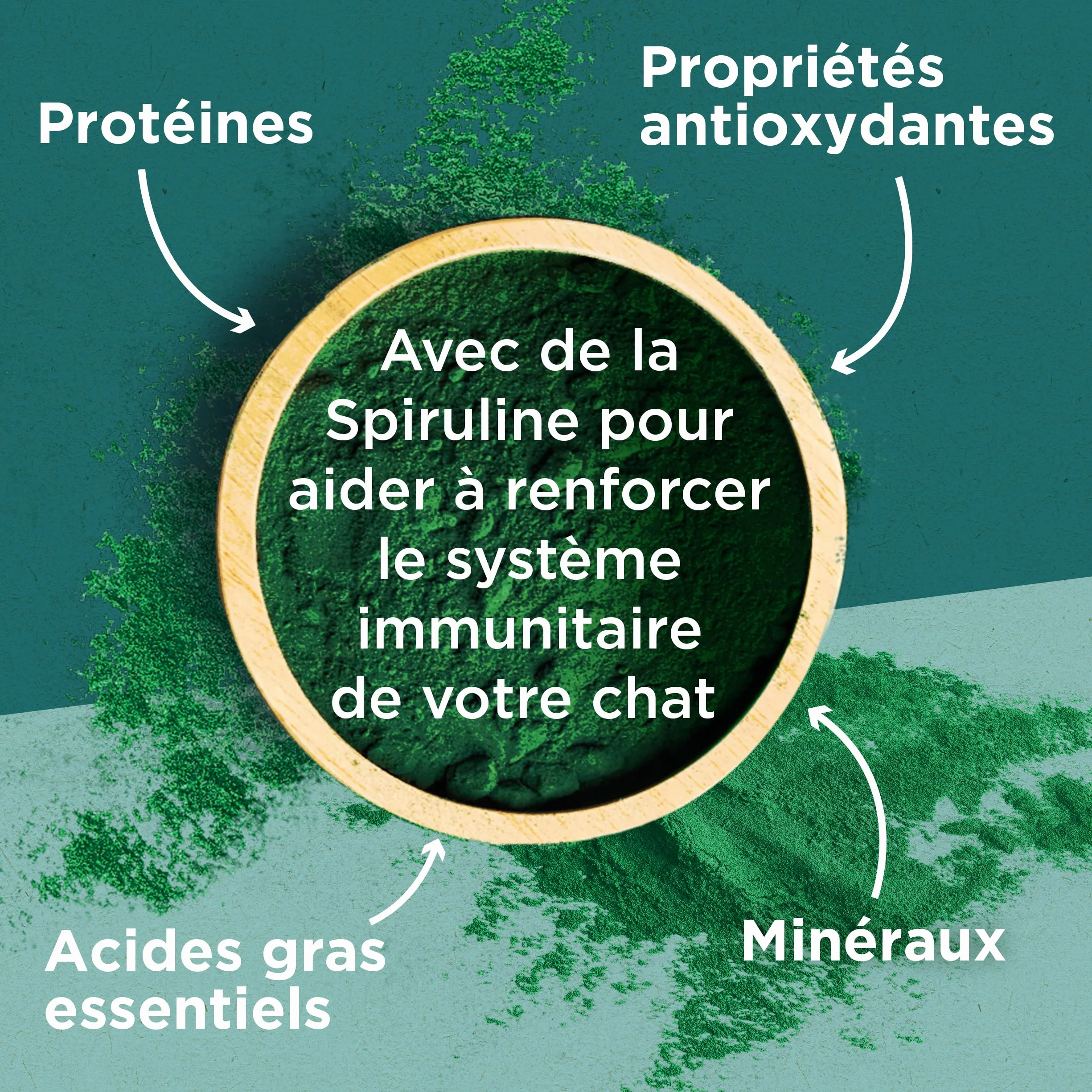 PURINA ONE DualNature Natural Defense Croquettes Chat Adulte Stérilisé Spiruline Bœuf Sac 1,4 Kg