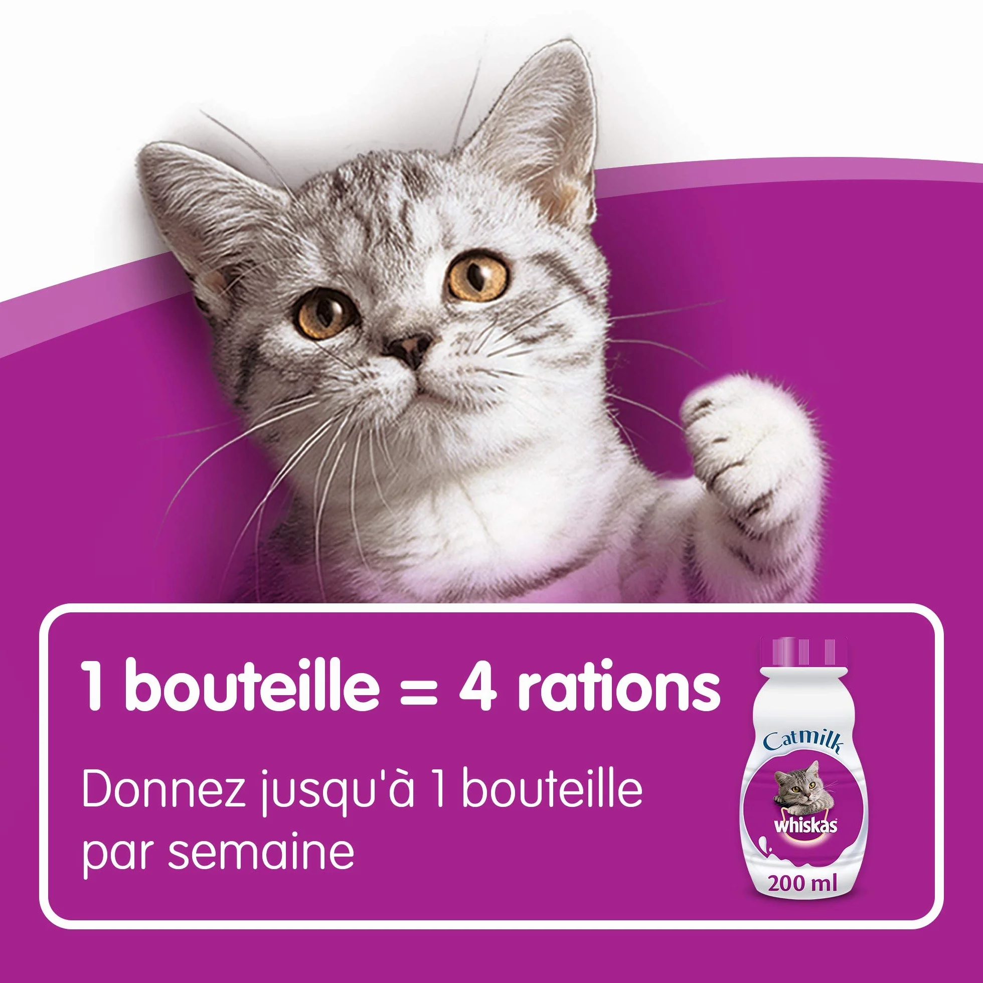 WHISKAS Lait pour Chat et Chaton à Faible Teneur en Lactose - 15 Bouteilles - Facile à Digérer - Calcium & Vitamines