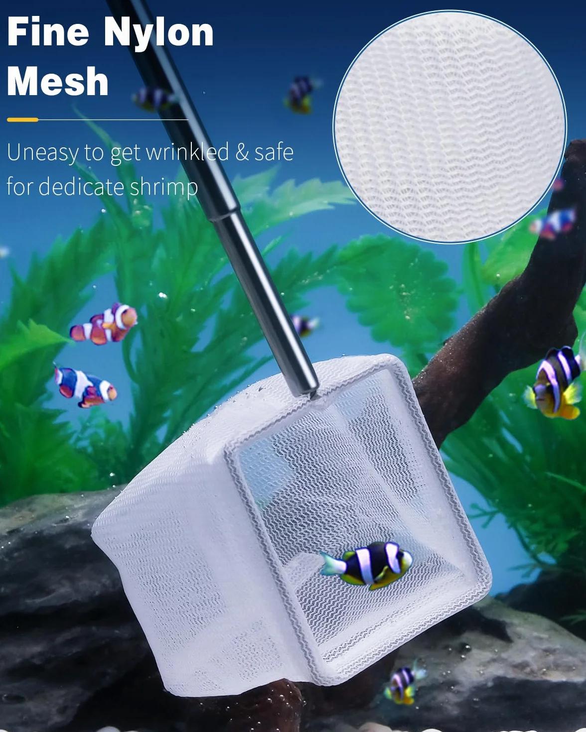 Pawfly Filet pour crevettes d'aquarium 5-10 cm Mini-Filet de pêche avec poignée Extensible en Acier Inoxydable Mailles Souples pour Aquariums