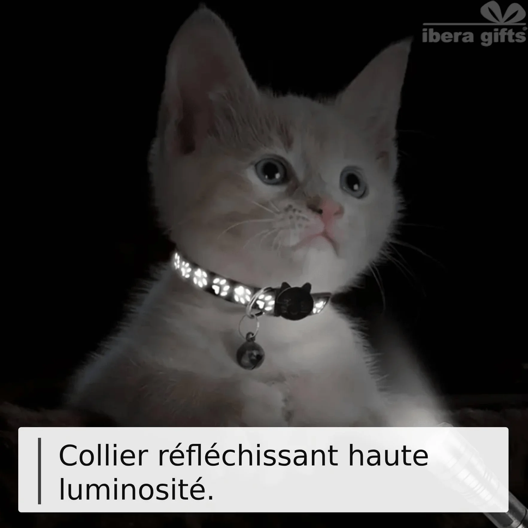 Collier Chat Personnalisé avec Gravure Rose