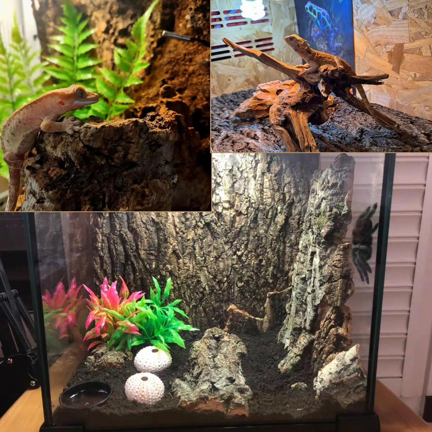 Lot de 2 Parois Arrière en Écorce de Liège pour Terrarium 15 x 20 cm Fond Naturel pour Reptiles