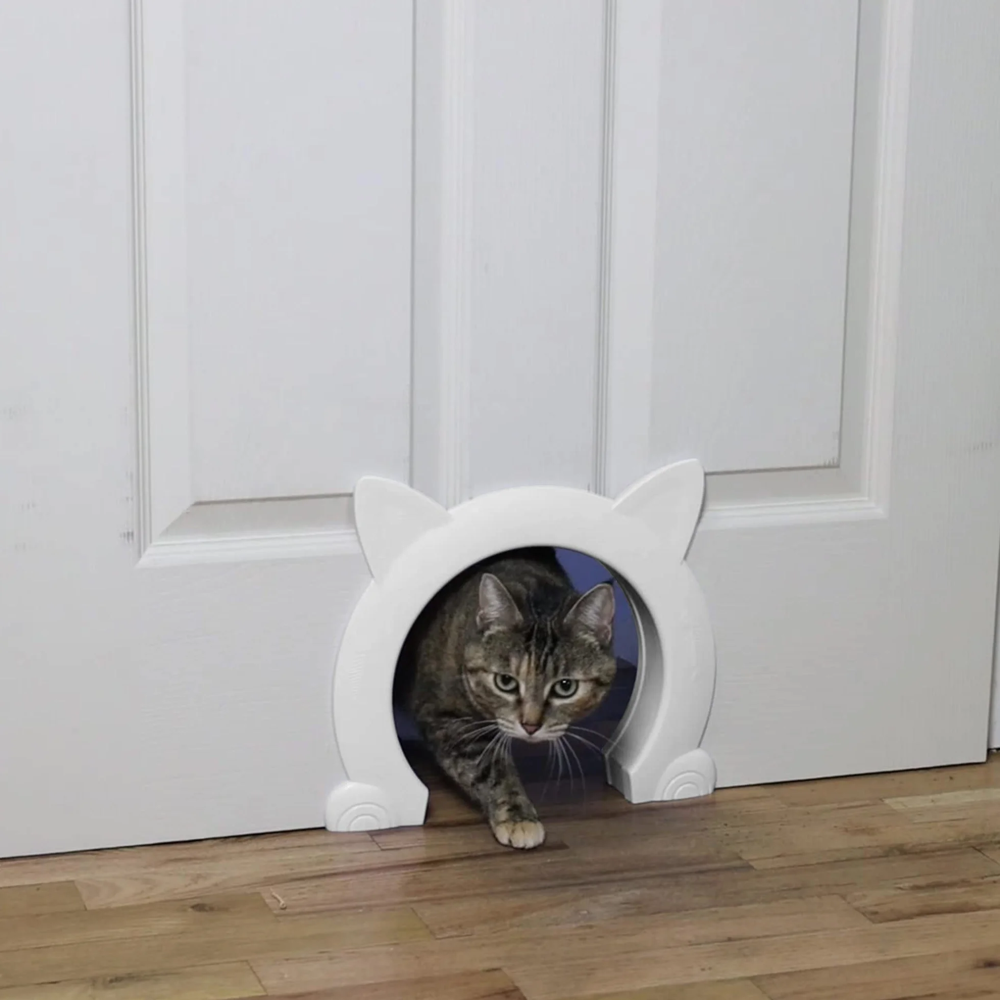 Chat chatière adaptée aux chats petite moyenne grande taille toilettes maison bassin