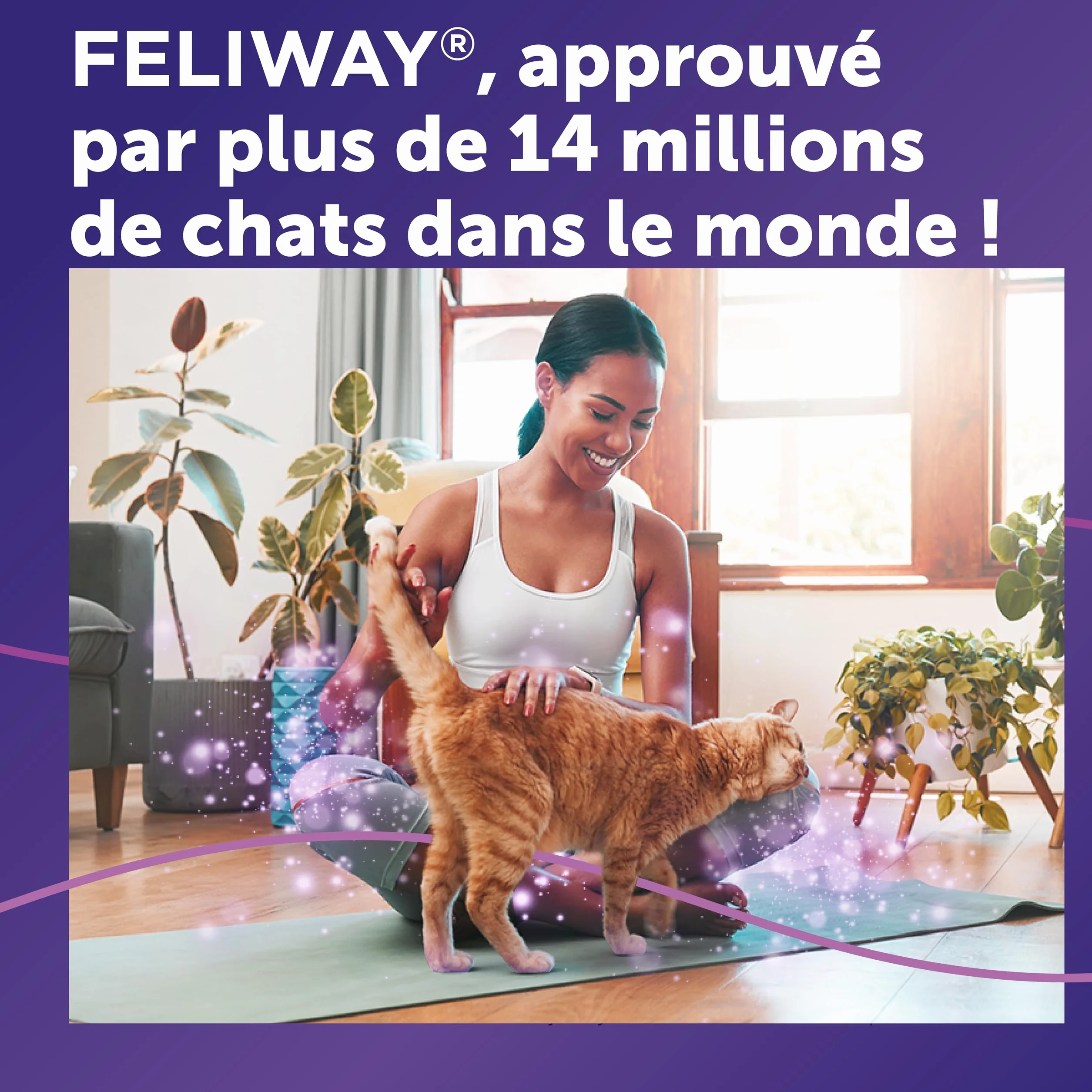 FELIWAY Classic 30 Jours Diffuseur de Phéromones Apaisantes pour Chats + Recharge 48 ml