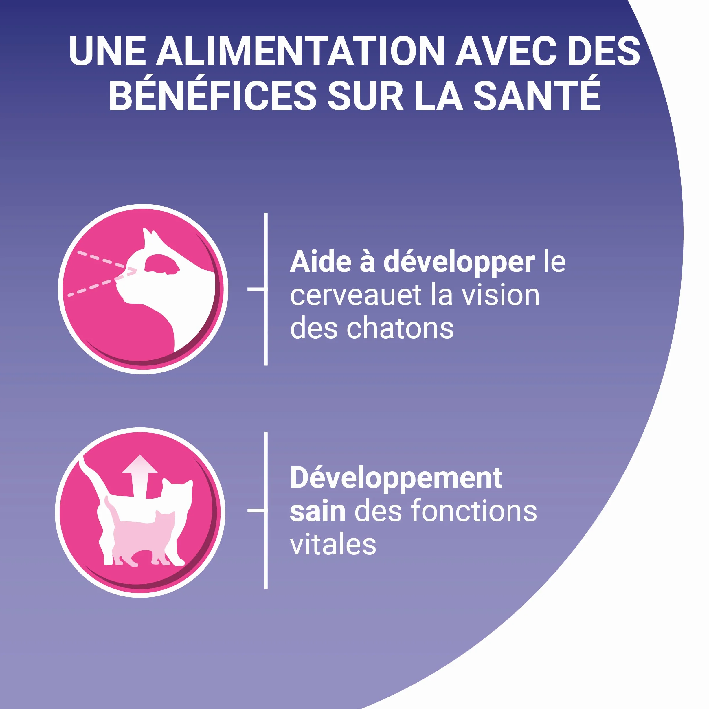 PURINA ONE Chat Kitten Effilés Sauce Saumon Poulet 8x85g