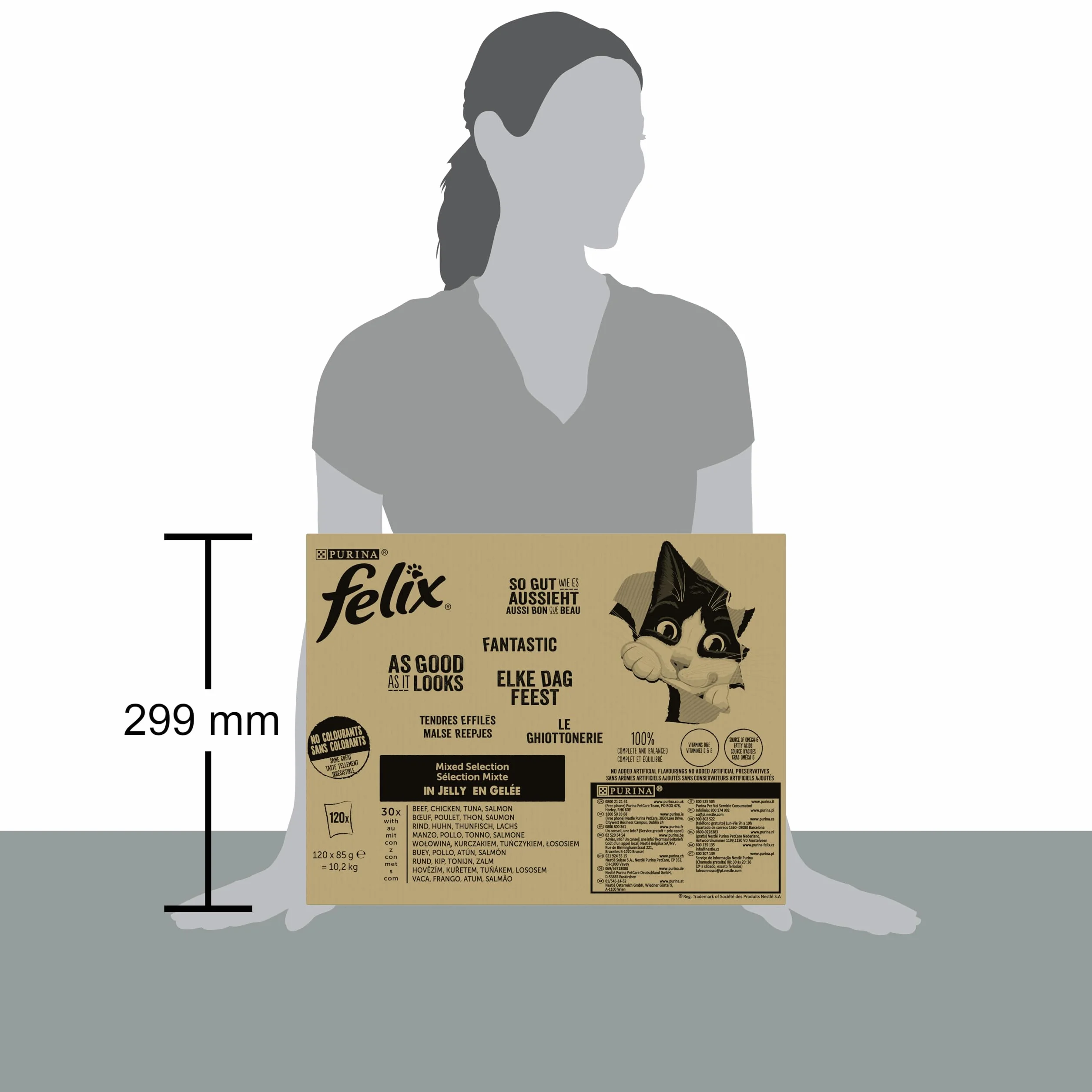 Felix Tendres Effilés Aliment Complet pour Chat Adulte Sélection Mixte Boeuf Poulet Saumon Thon Gelée Portion Individuelle 120x85g