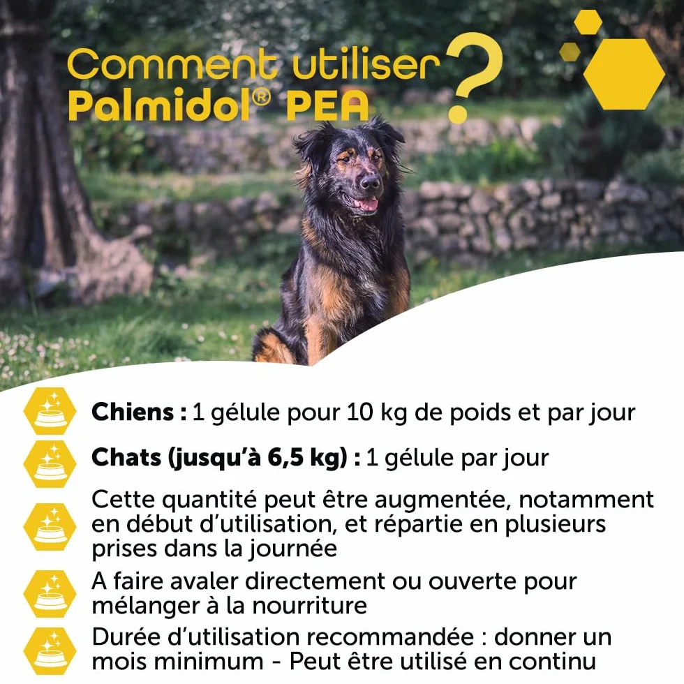 MP Labo Palmidol® PEA 30 Gélules - Complément pour Chien et Chat - Palmitoyléthanolamide et Astaxanthine