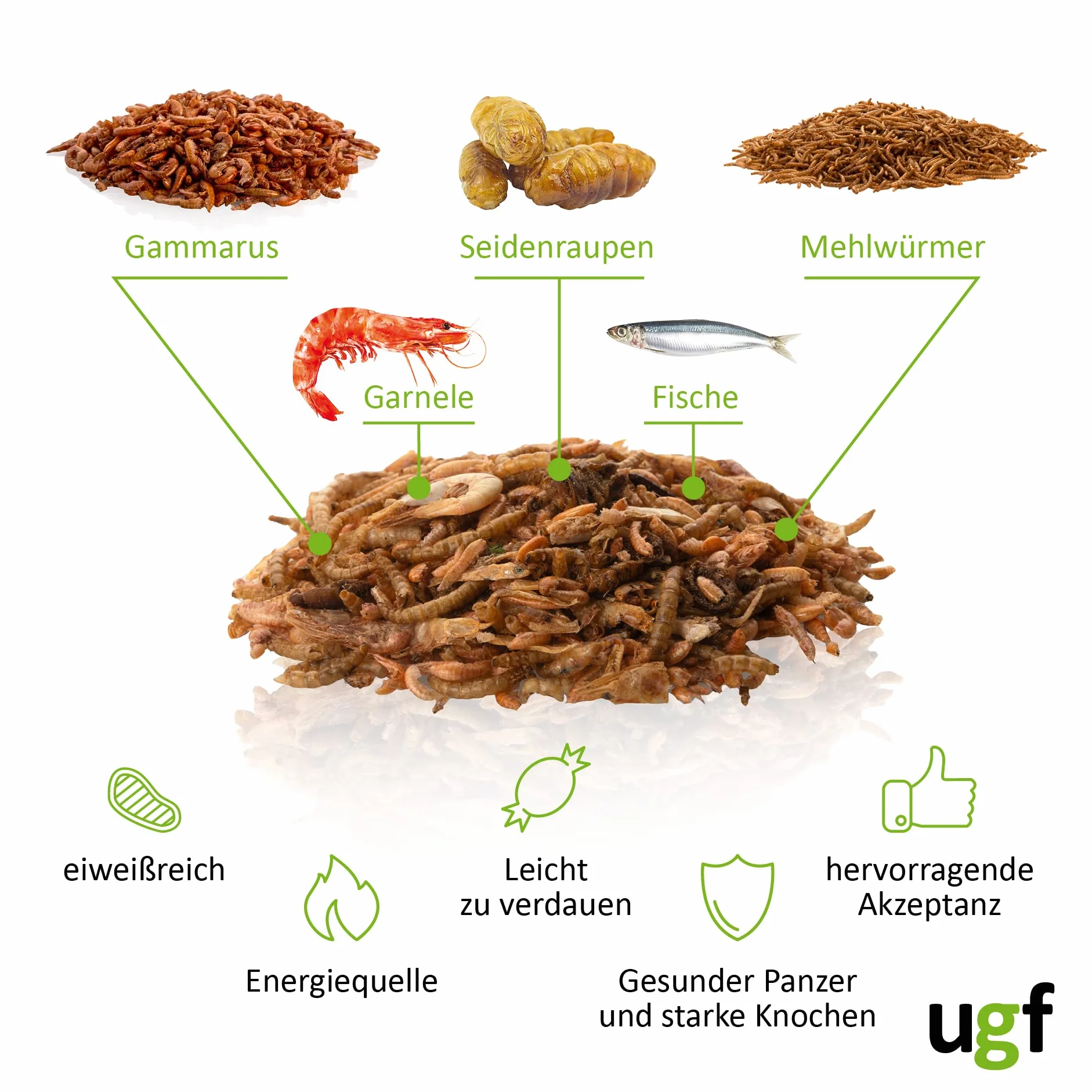 UGF Mélange Alimentaire Universel pour Tortues 90 g Pot 500 ML