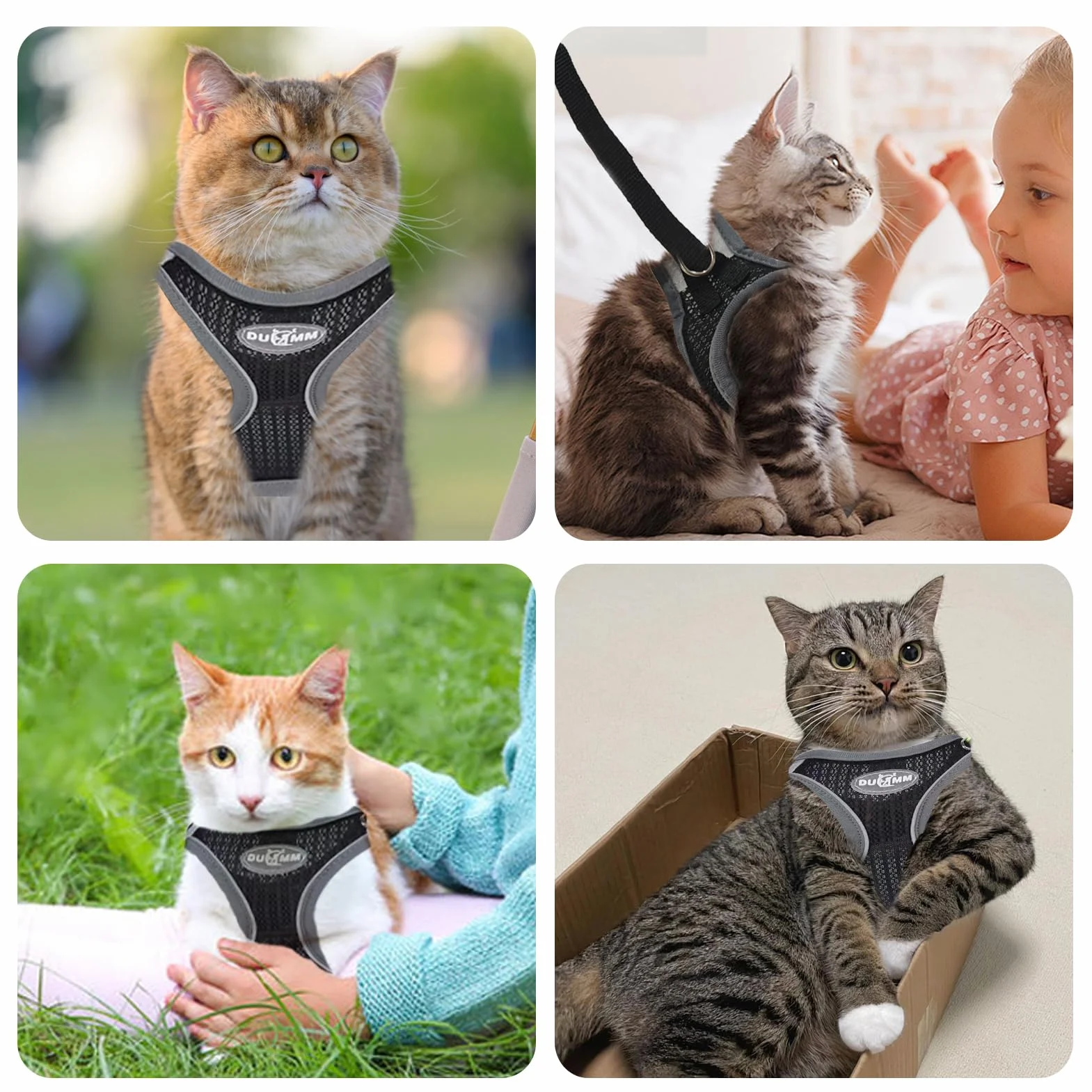 Harnais pour Chat Anti-éclatement Réglable avec Laisse, Doublure Lombaire Douce, Maille Respirante, Bandes Réfléchissantes (Noir XXS)