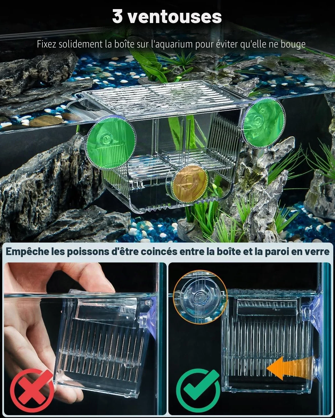 Pawfly Incubateur Aquarium Acrylique 6 Ventouses pour Poissons Betta, Crevette, Guppy, Platy