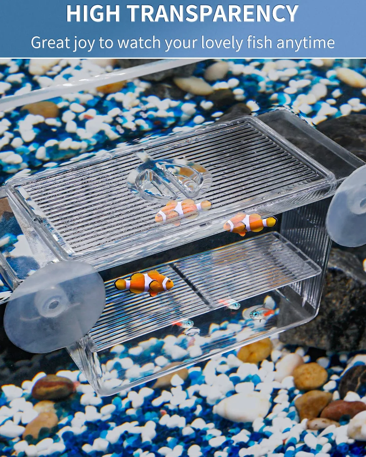Pawfly Boîte d'Incubation pour Poissons d'Aquarium en Acrylique avec Ventouses
