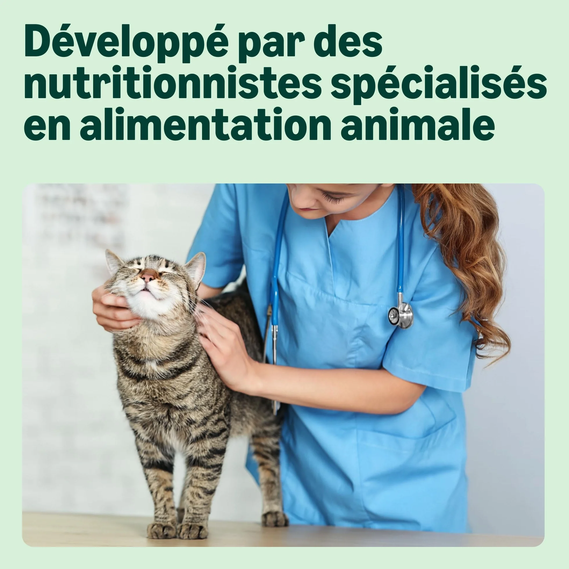 Amazon Aliment pour chat adultes stérilisés sans céréale, viande fraîche de poulet 3 kg