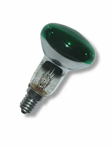 R50 Réflecteur spot 25 W SES Vert