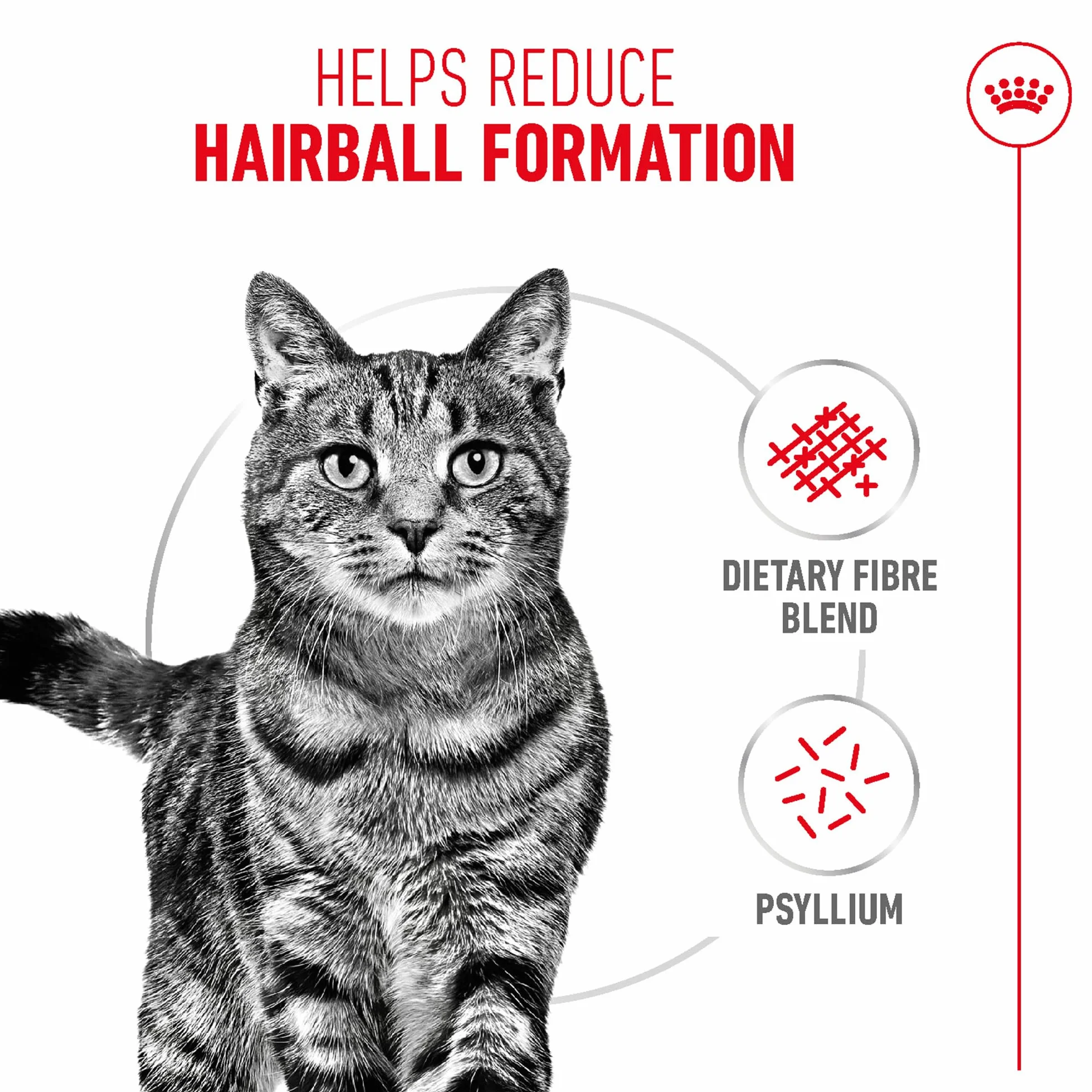 Royal Canin Intense Hairball 34 Sac 400 G