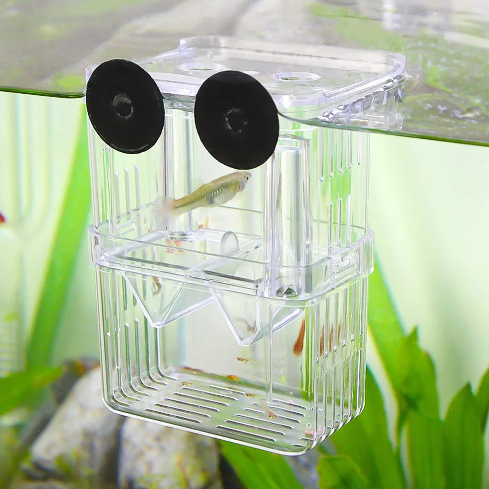 SENZEAL Boîte d'élevage de poisson flottante avec pipettes pour aquarium