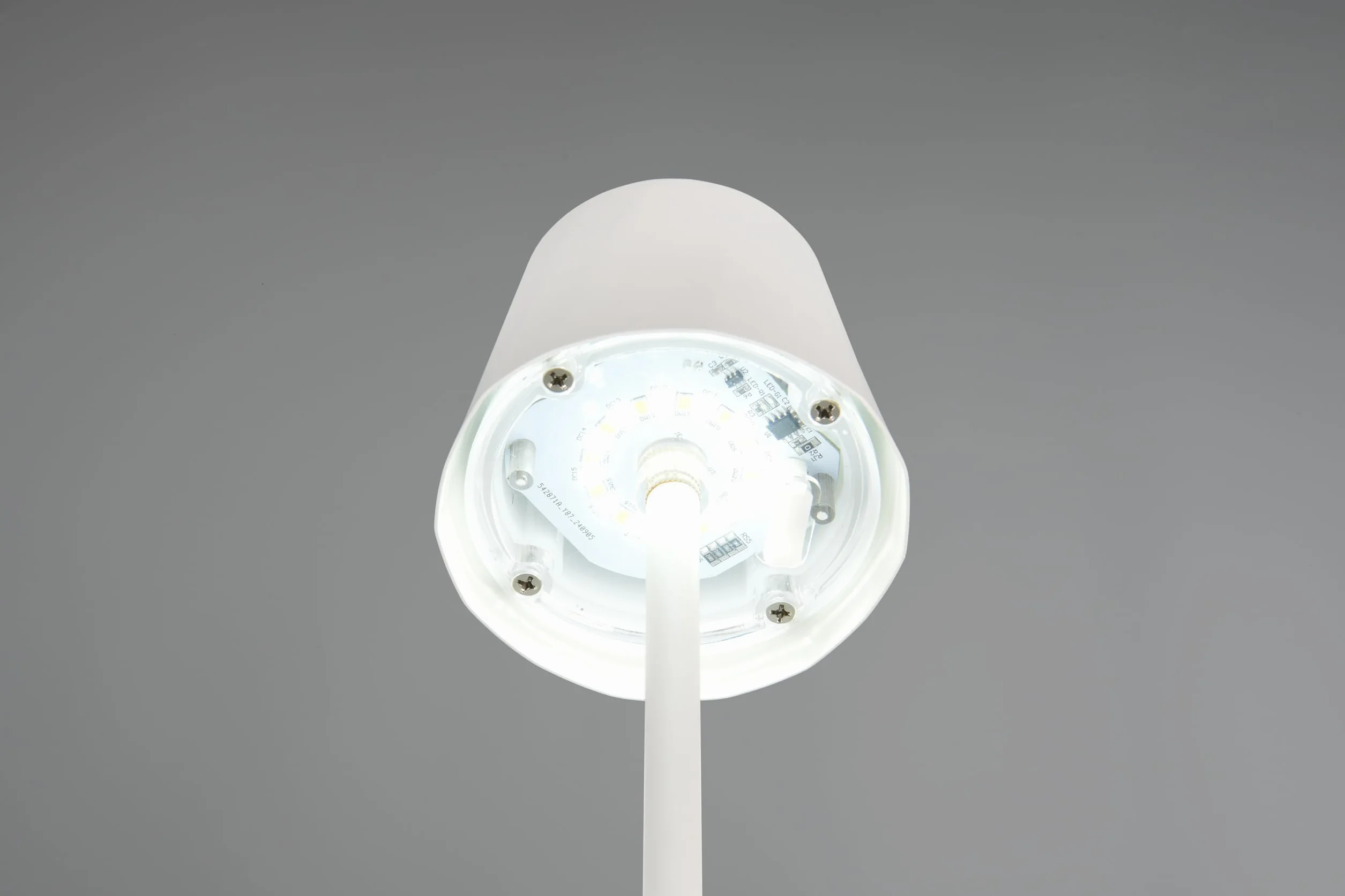 Reality Leuchten Diaz Lampe de table d'extérieur à 4 LED avec batterie métal blanc mat 1,6 W Couleur de la lumière réglable