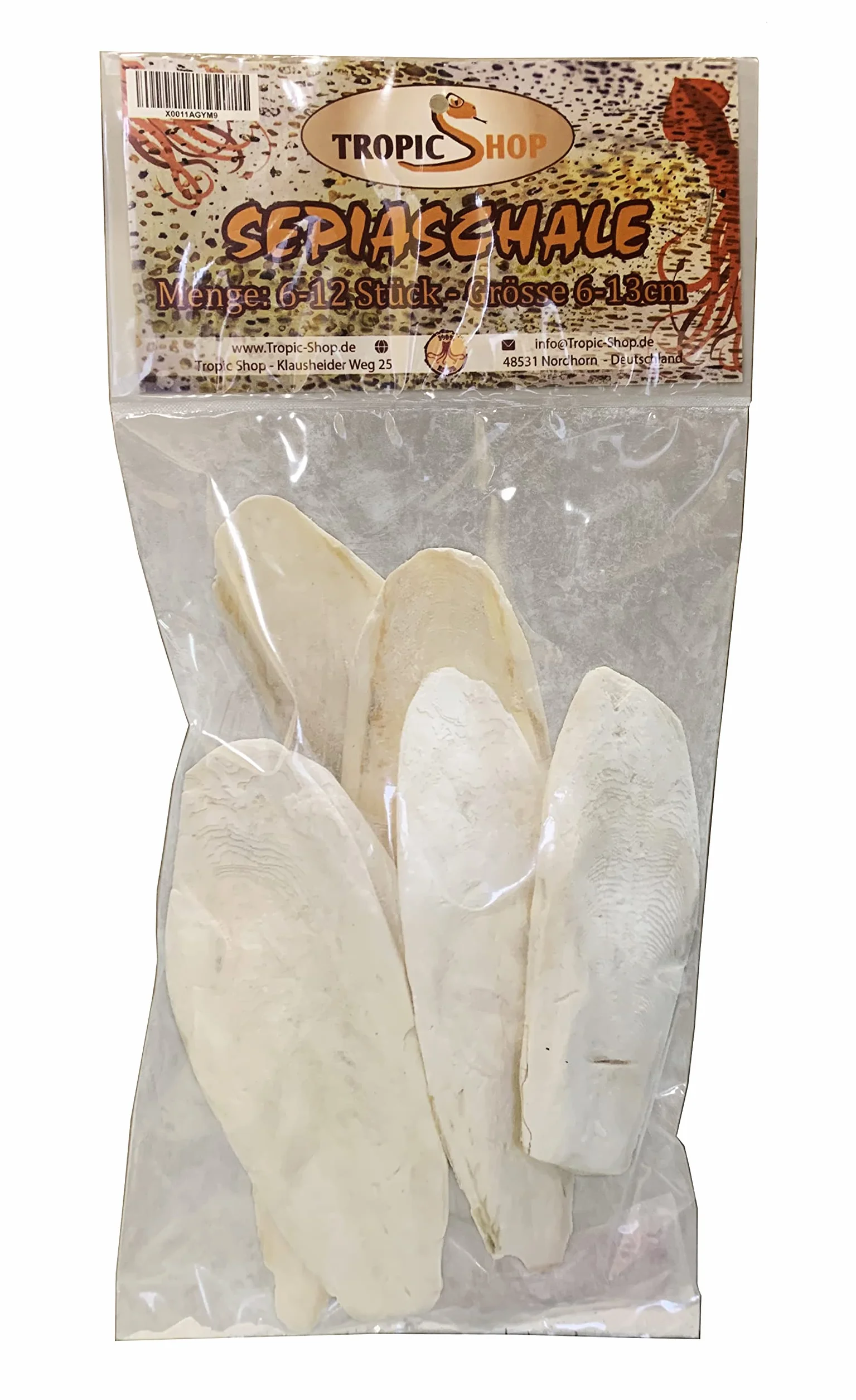 Sépia Rigide la Source Calcium Naturelle 6 – Lot de 10 pour Tortues, pogonas, Oiseaux