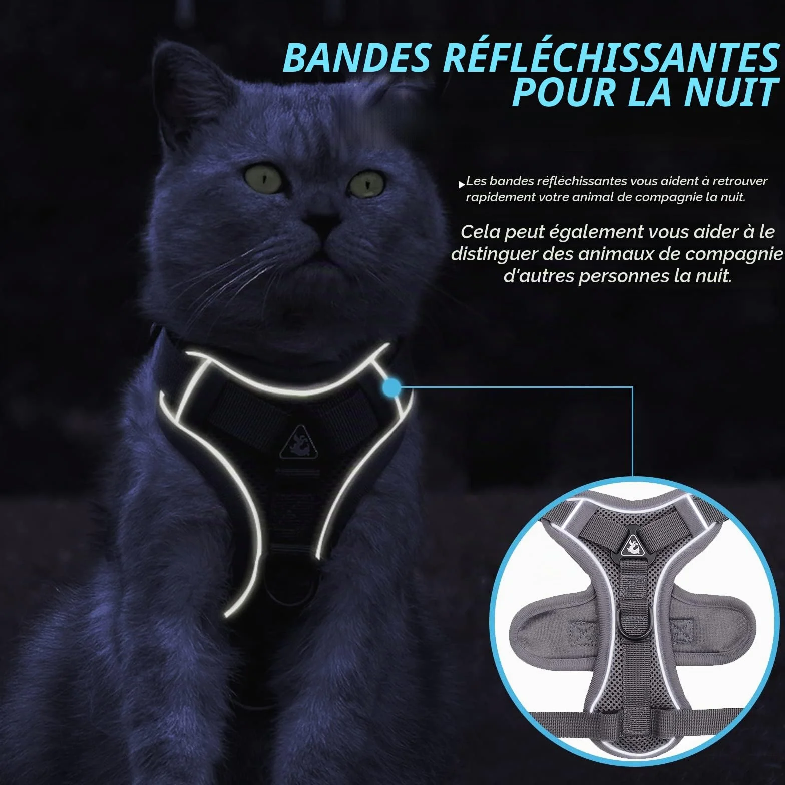 Grantop Harnais réglable anti-éclatement pour chat avec laisse Gris M