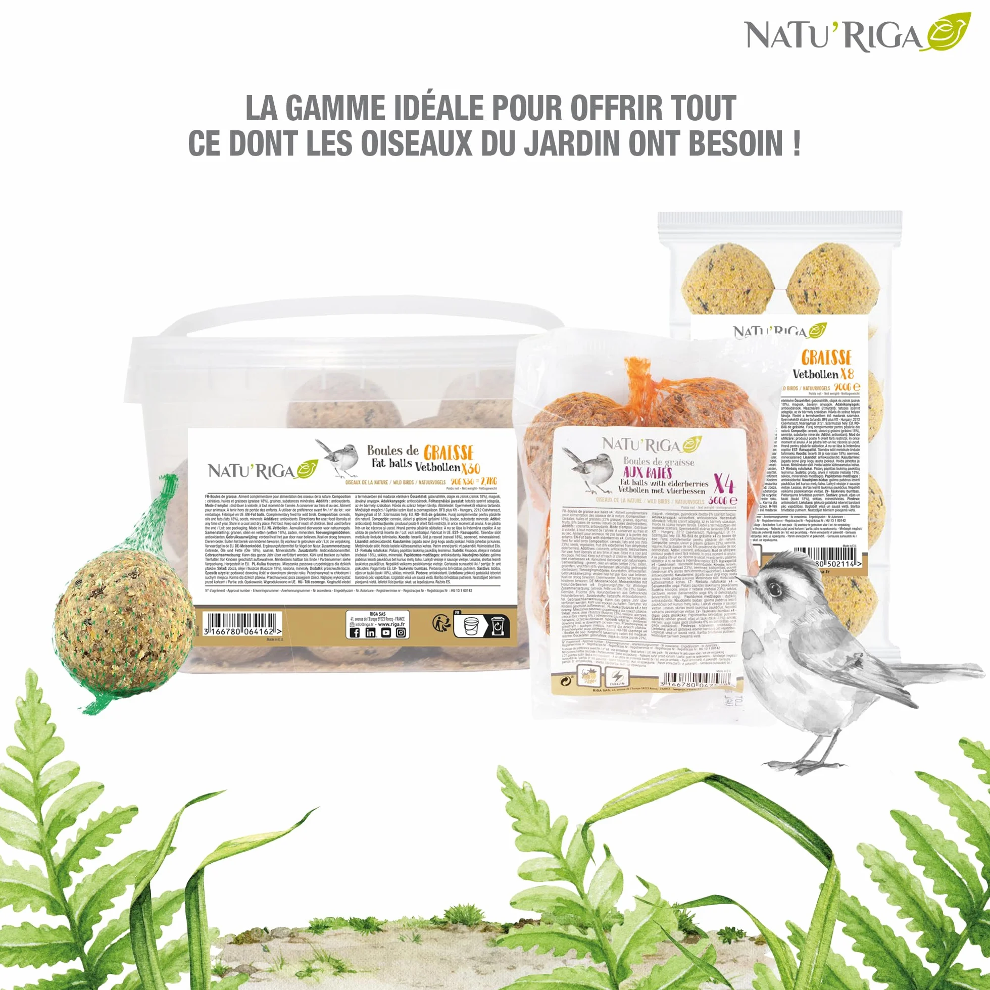 NATU'RIGA Mélange Tourterelles Nourriture Oiseaux Extérieur 2KG