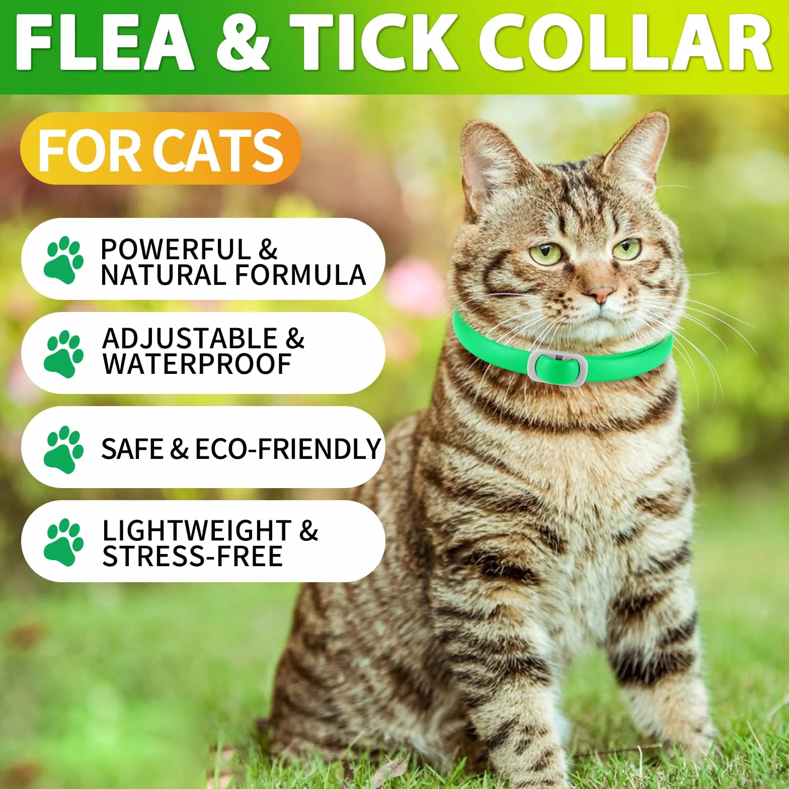 Collier pour Chat Imperméable Anti-Puces et Tiques, Ensemble de 4, Protection 24 Mois