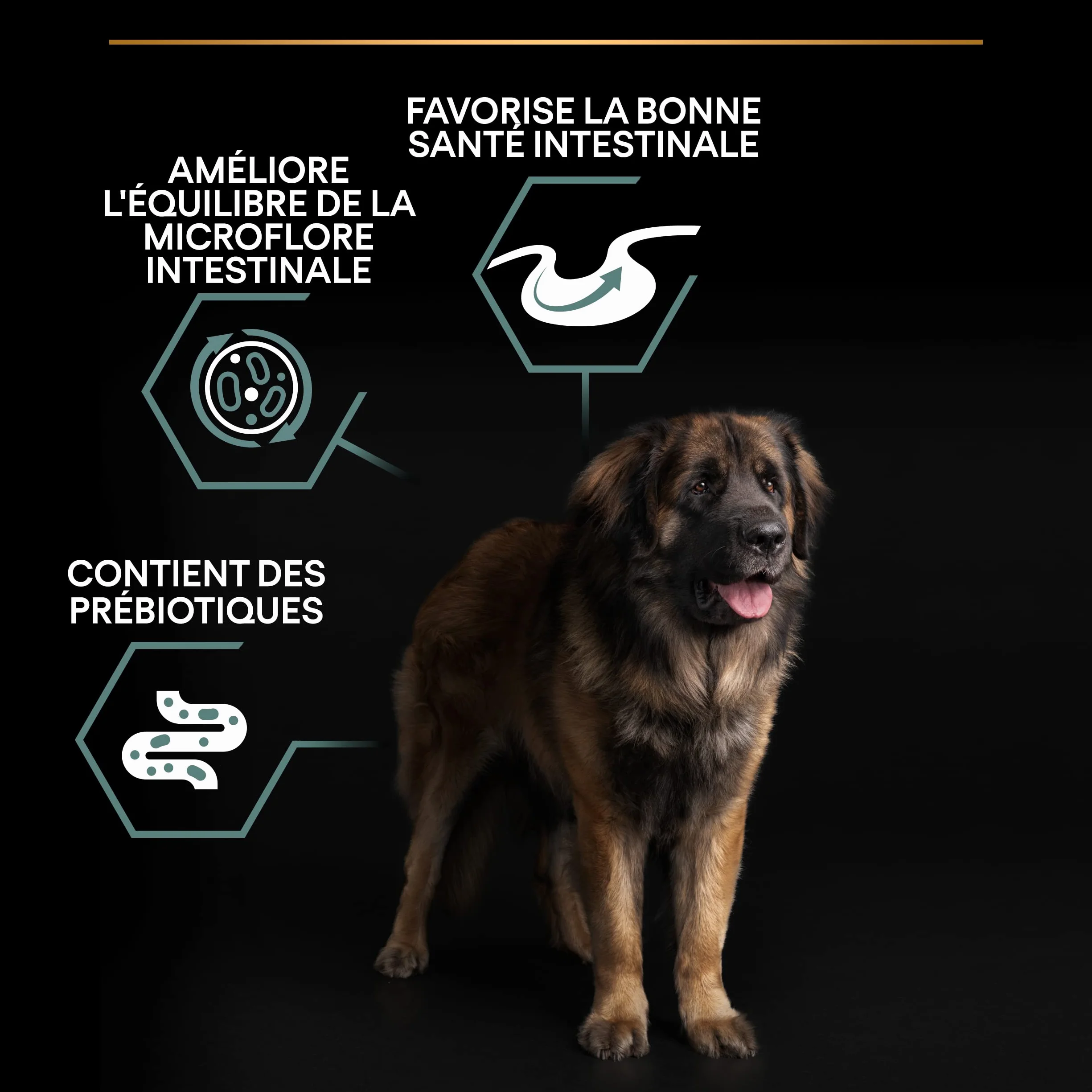PURINA PRO PLAN Croquettes Sensitive Digestion pour Grand Chien Robustes 14kg