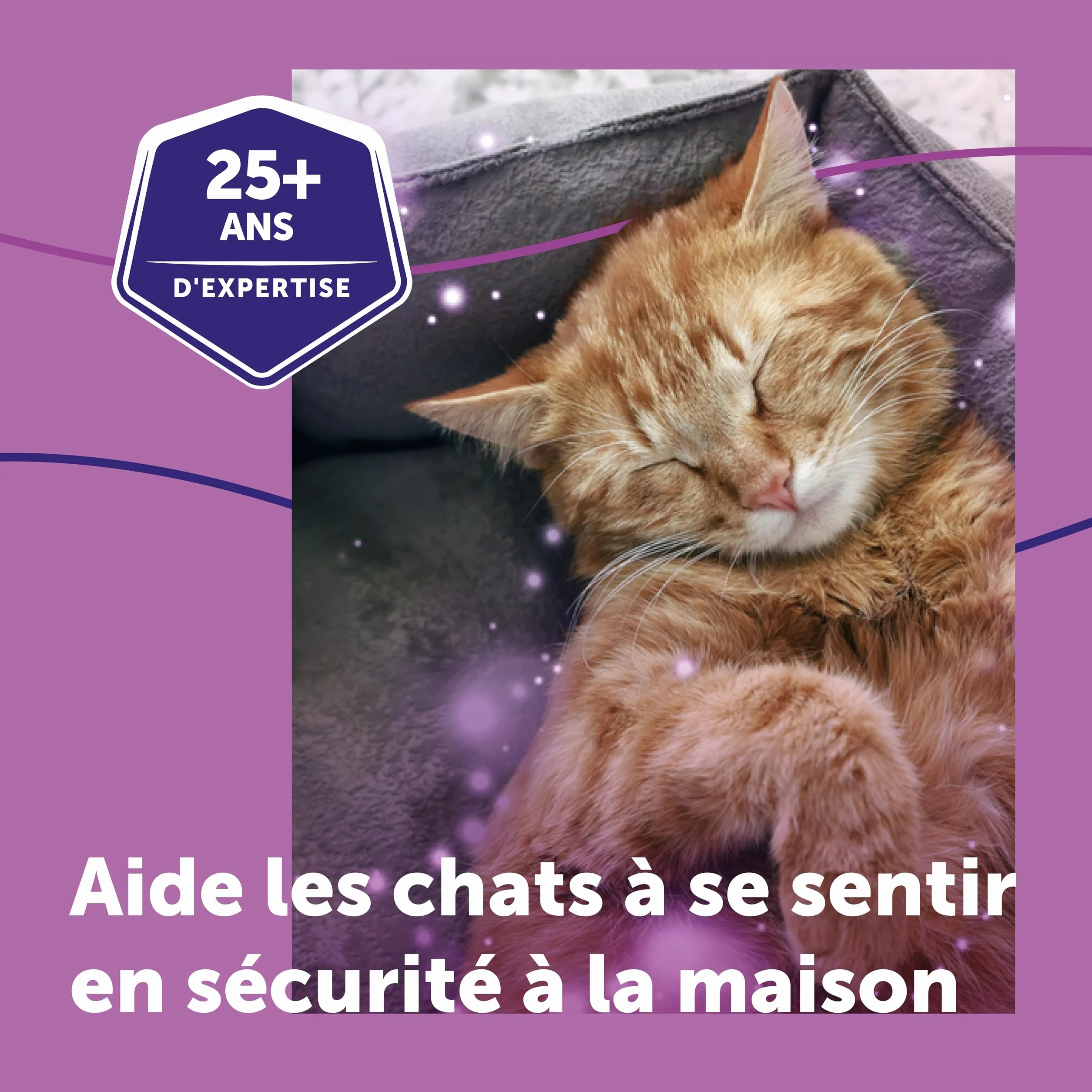 FELIWAY Classic 30 Jours Diffuseur de Phéromones Apaisantes pour Chats + Recharge 48 ml