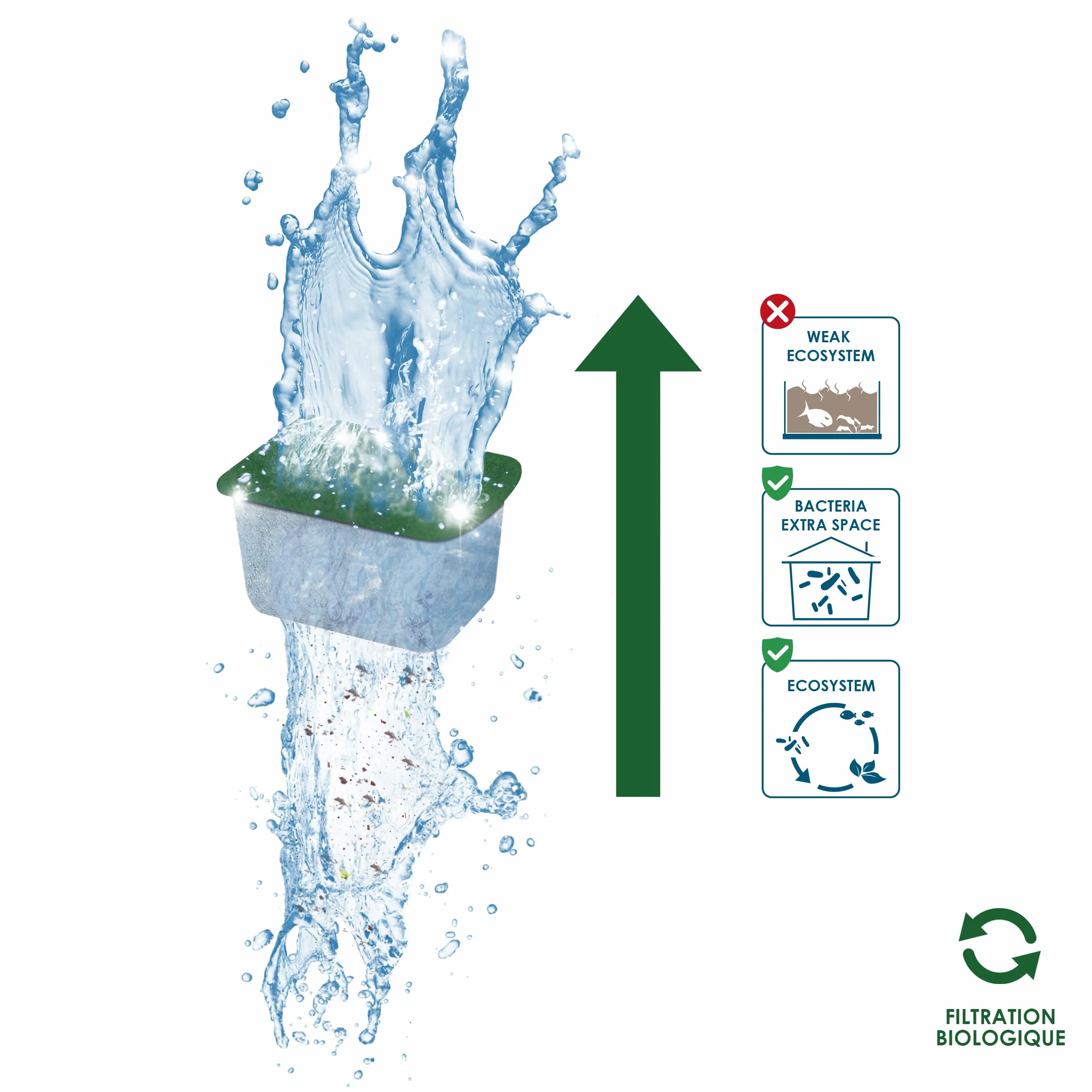 Cartouches de Filtration de Rechange pour Aquarium CIANO Taille S Pack 3 Mois