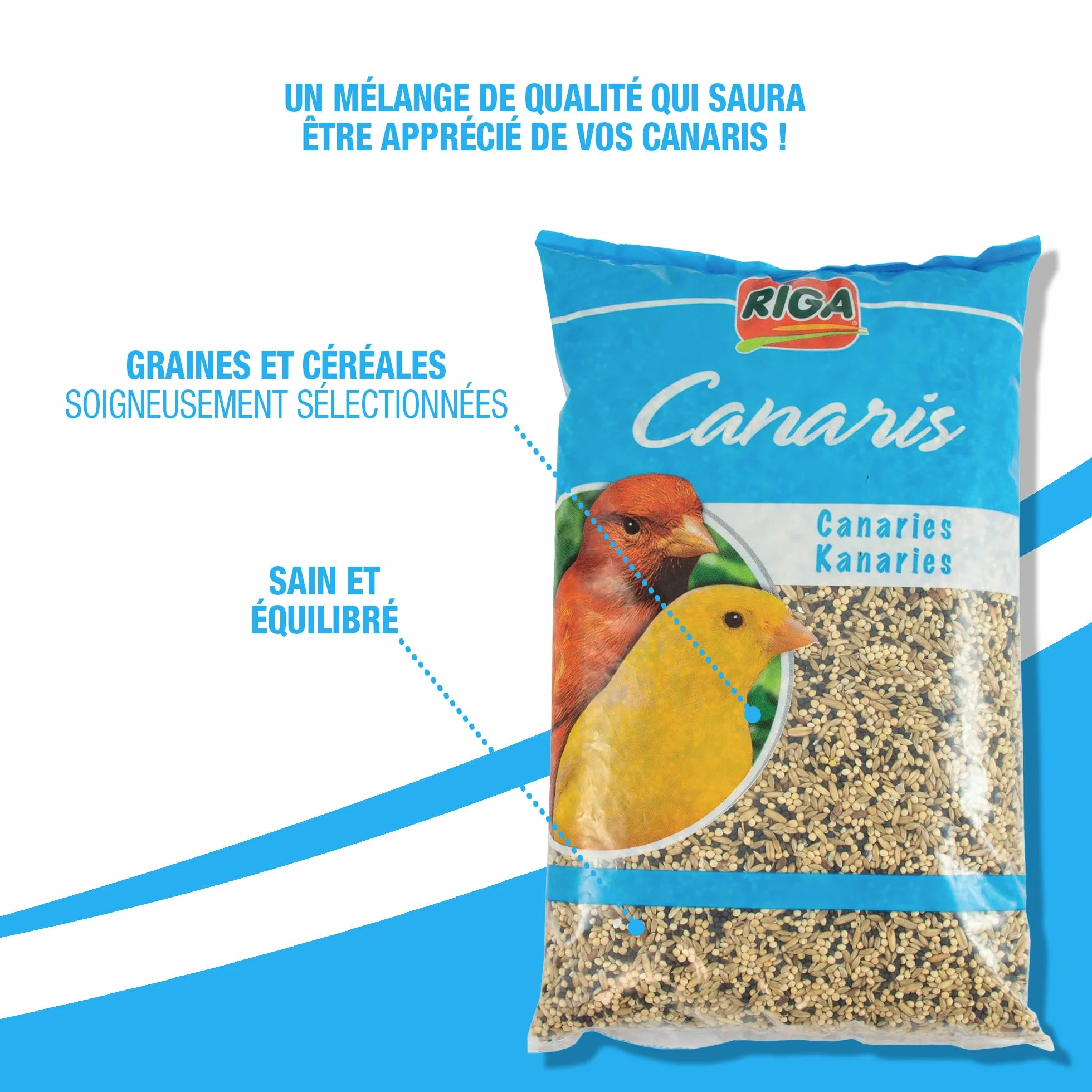 Riga Mélange pour Canaris Nourriture pour Oiseaux Graines et Céréales Riche en Vitamines et Minéraux 2KG