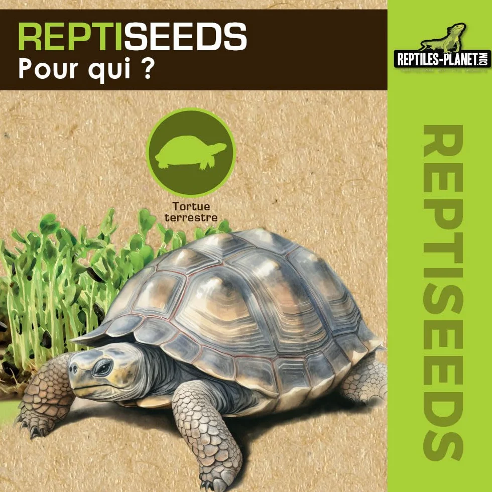 Reptiles Planet Reptiseeds Mélange de Graines à Germer pour Tortue Terrestre 40 g