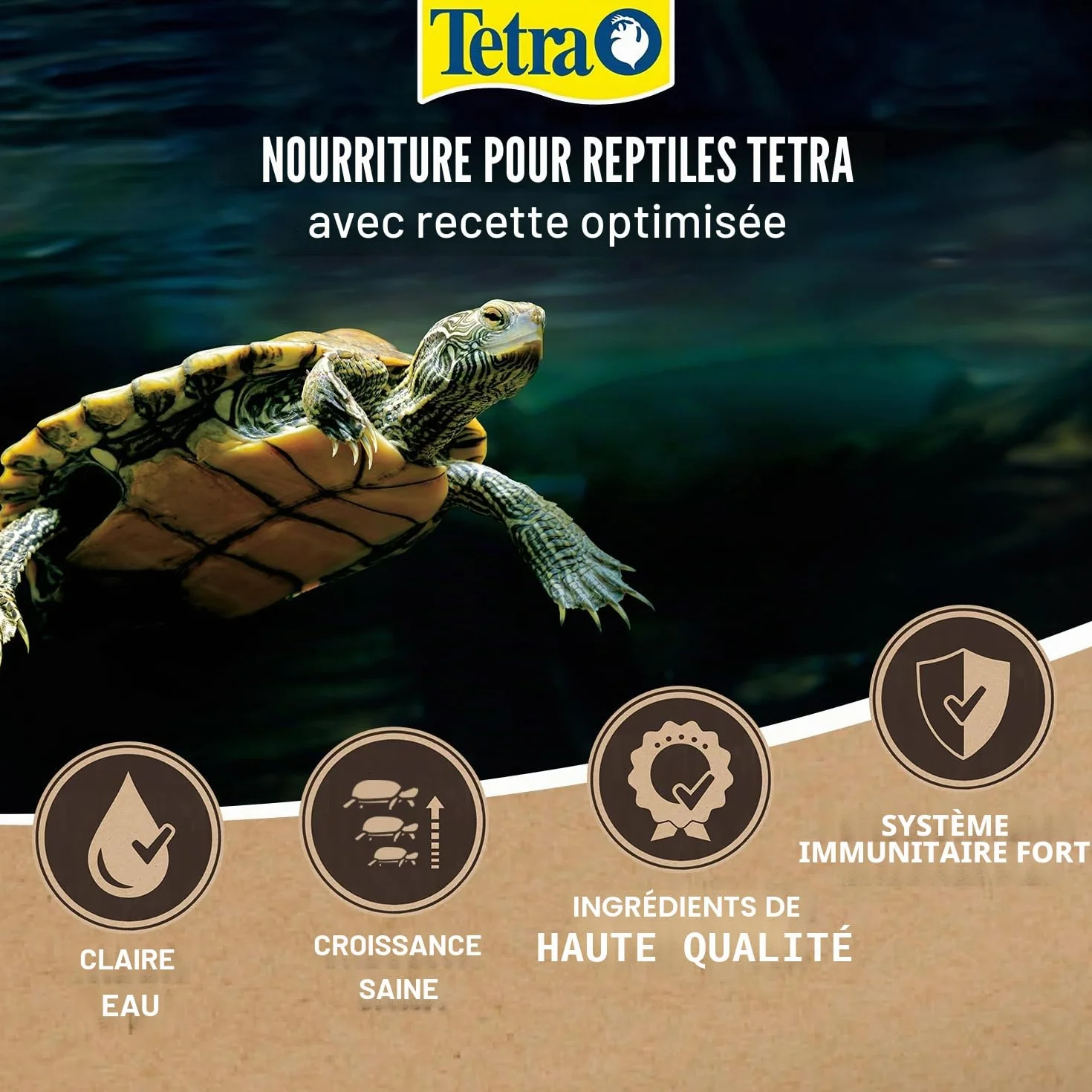 Tetra Tortoise Nourriture Principale pour Tortues terrestres boîte 500 ML