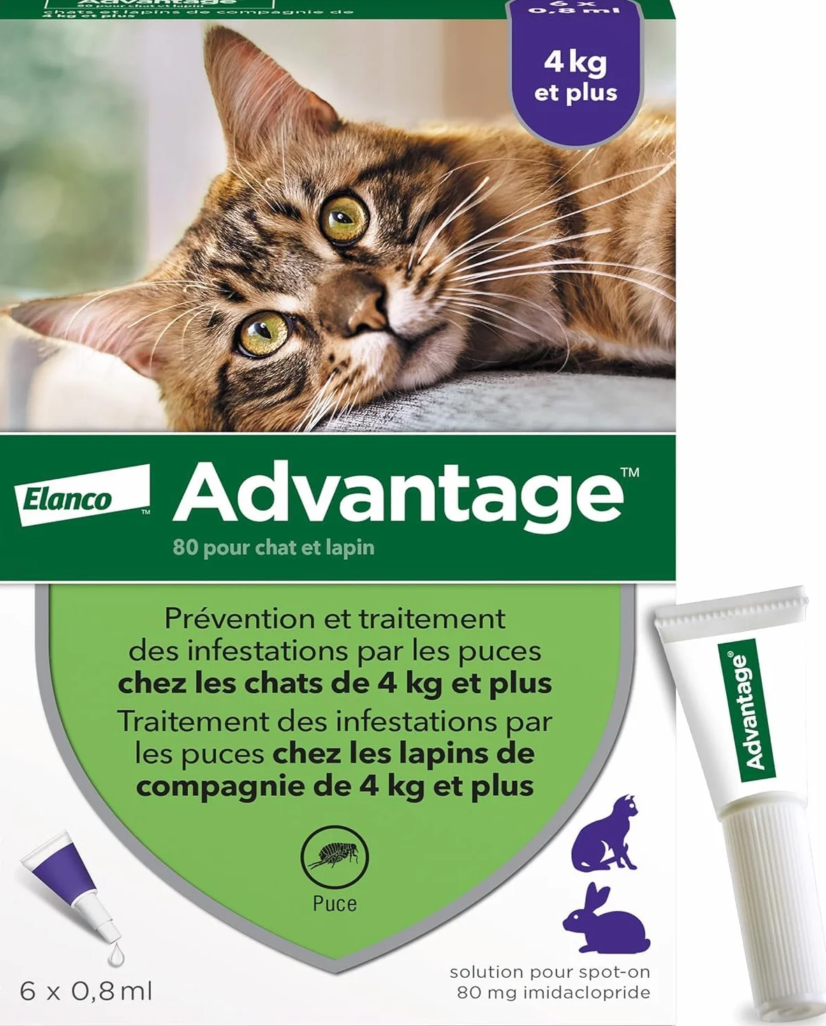 Advantage Chat & Lapin 4 kg – Pipettes anti puces chat prévention infestations – Traitement anti puces lapin protection continue 3-4 semaines – 6 x 0,8 ml