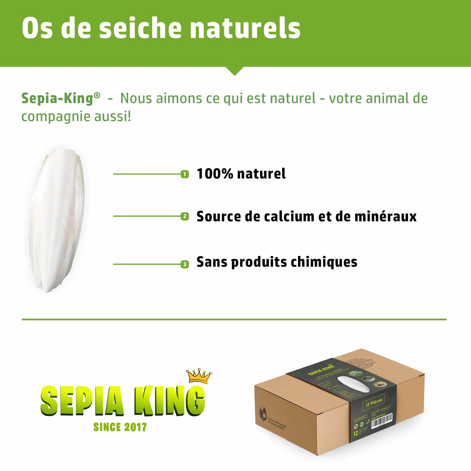 Sepia-King Os de seiche Naturel 10-15cm Calcium Minéraux Nourriture Tortue Reptile Oiseau