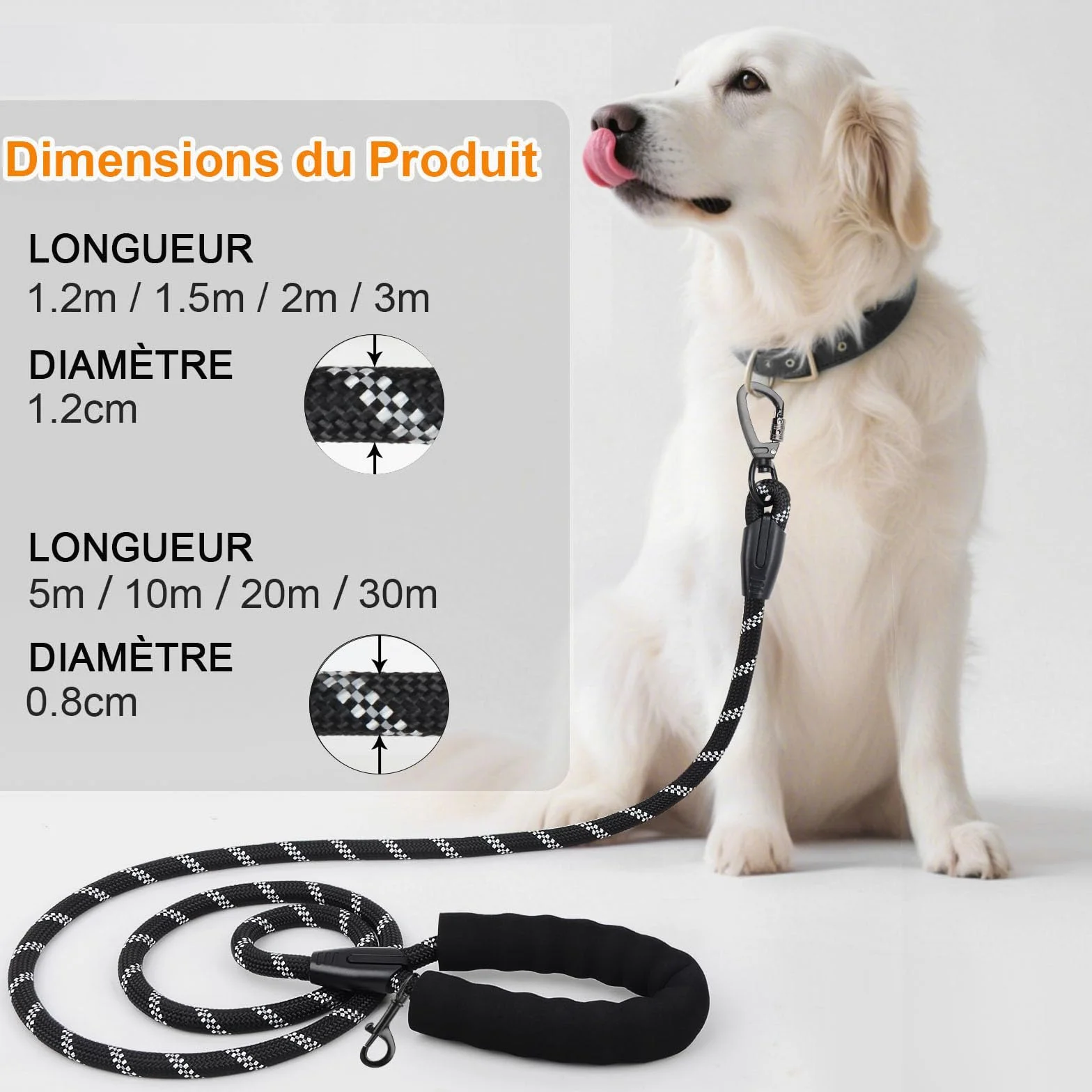 Longe pour Chien 10M Laisse de Dressage avec Poignée Rembourrée