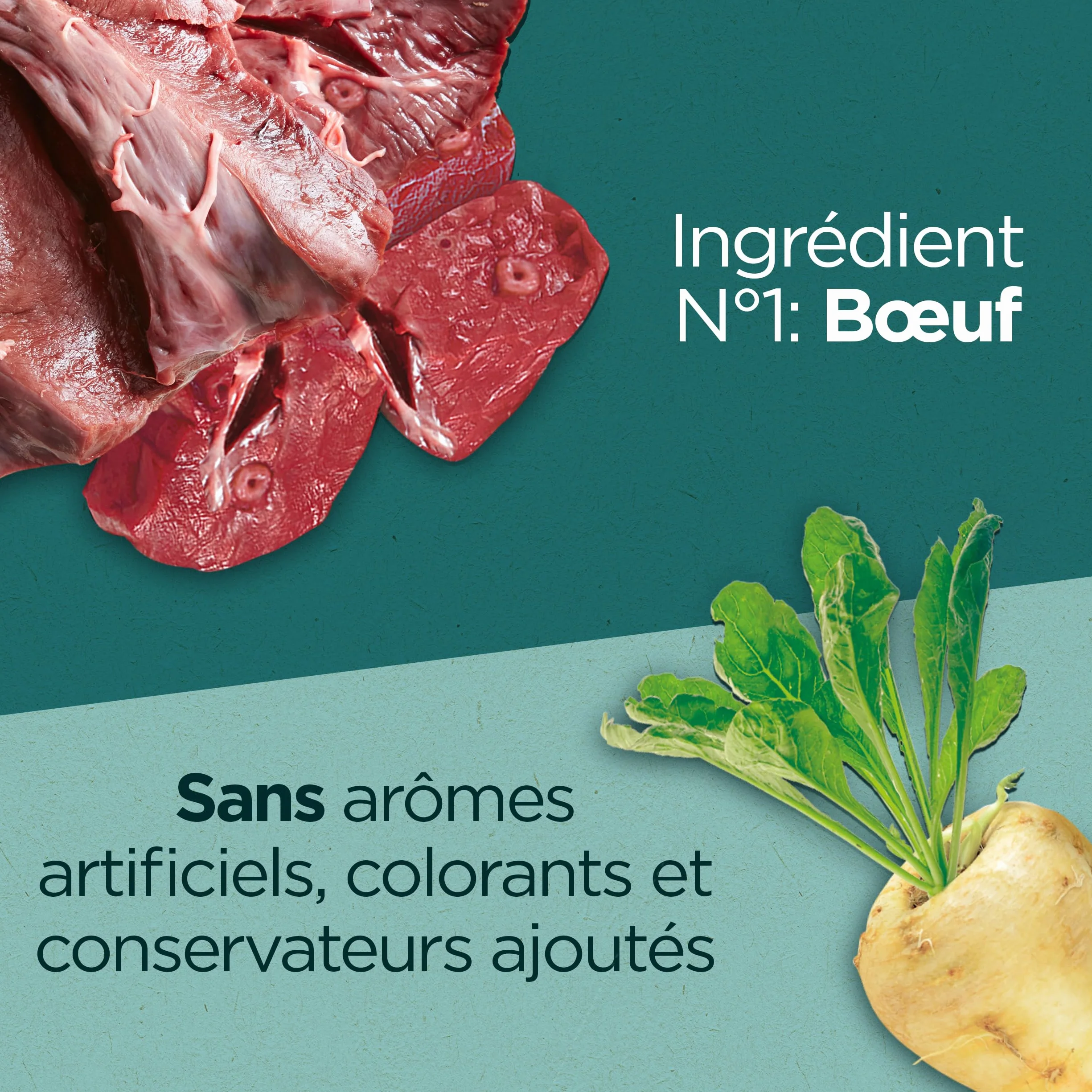 PURINA ONE DualNature Natural Defense Croquettes Chat Adulte Stérilisé Spiruline Bœuf Sac 1,4 Kg