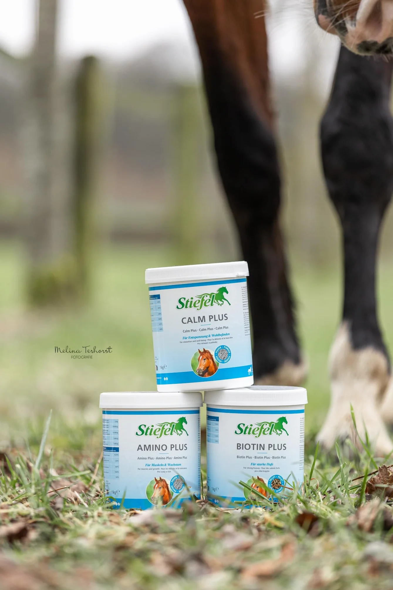 Granulés de biotine Stiefel 1 kg