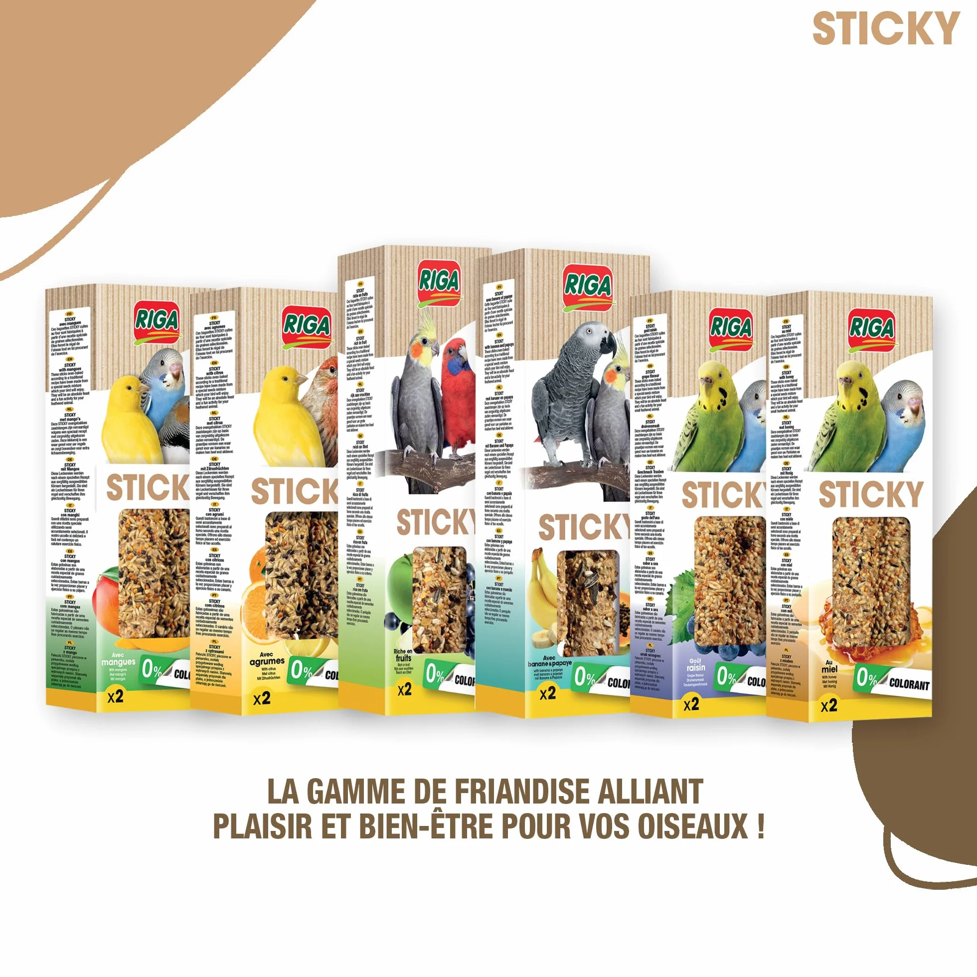 RIGA Barres De Sticky Aux Fruits Nourriture Pour Oiseaux Baguettes Graines Cuites Au Four Mangue Déshydratée x 2