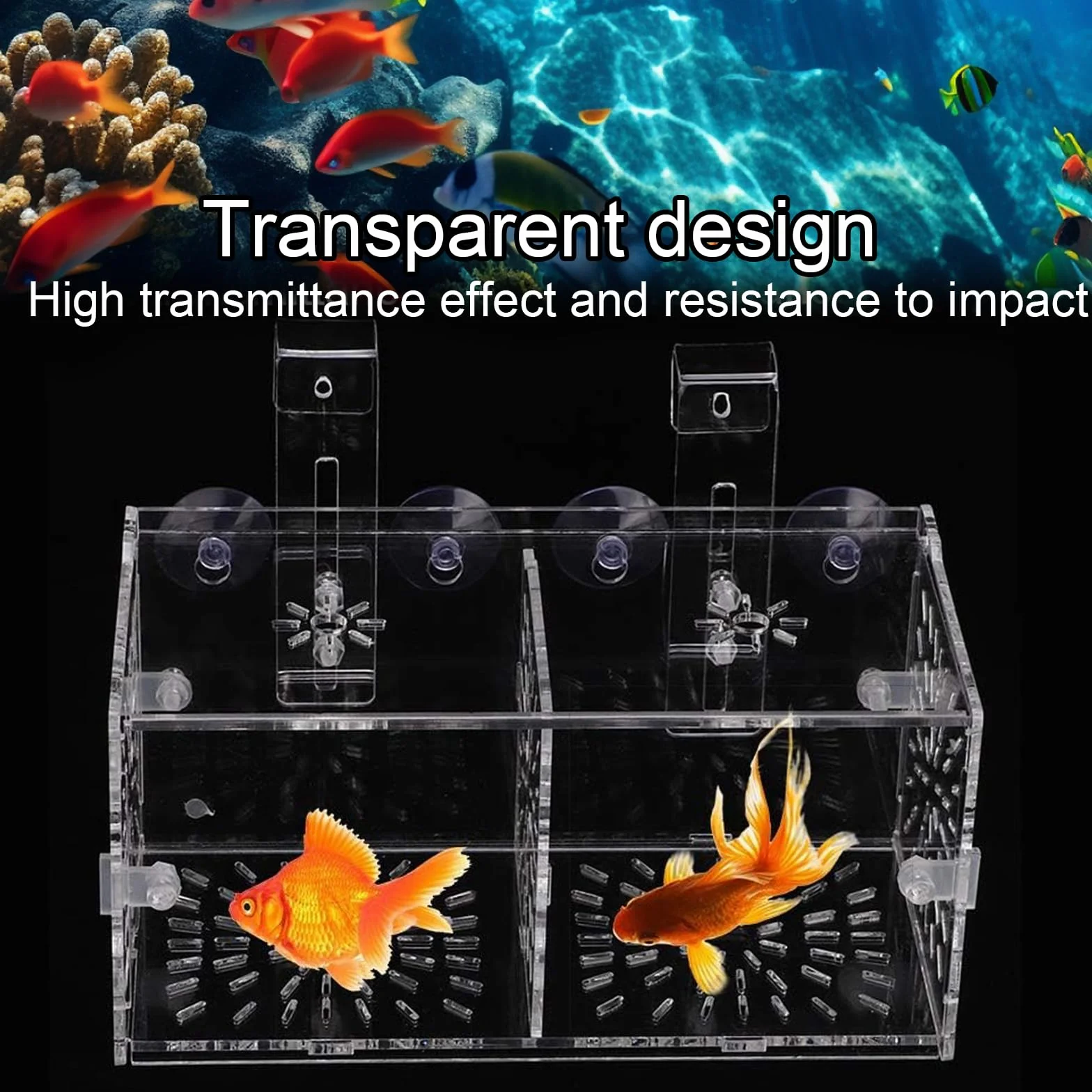Boite Elevage Poisson Aquarium Breeding Box Boîte D'isolement Poissons Nurserie