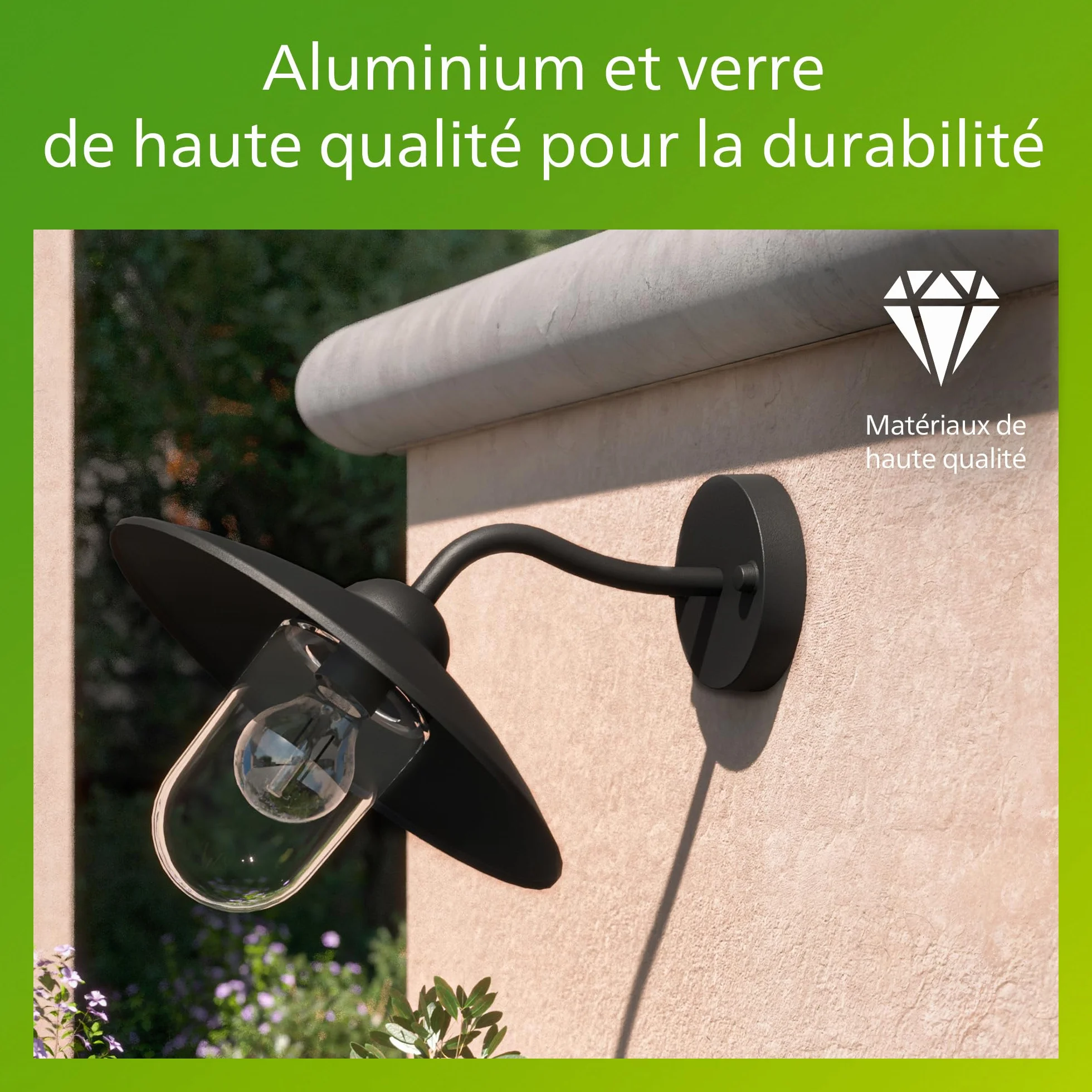 Philips Applique d'extérieur Hammock Noir Verre transparent IP44