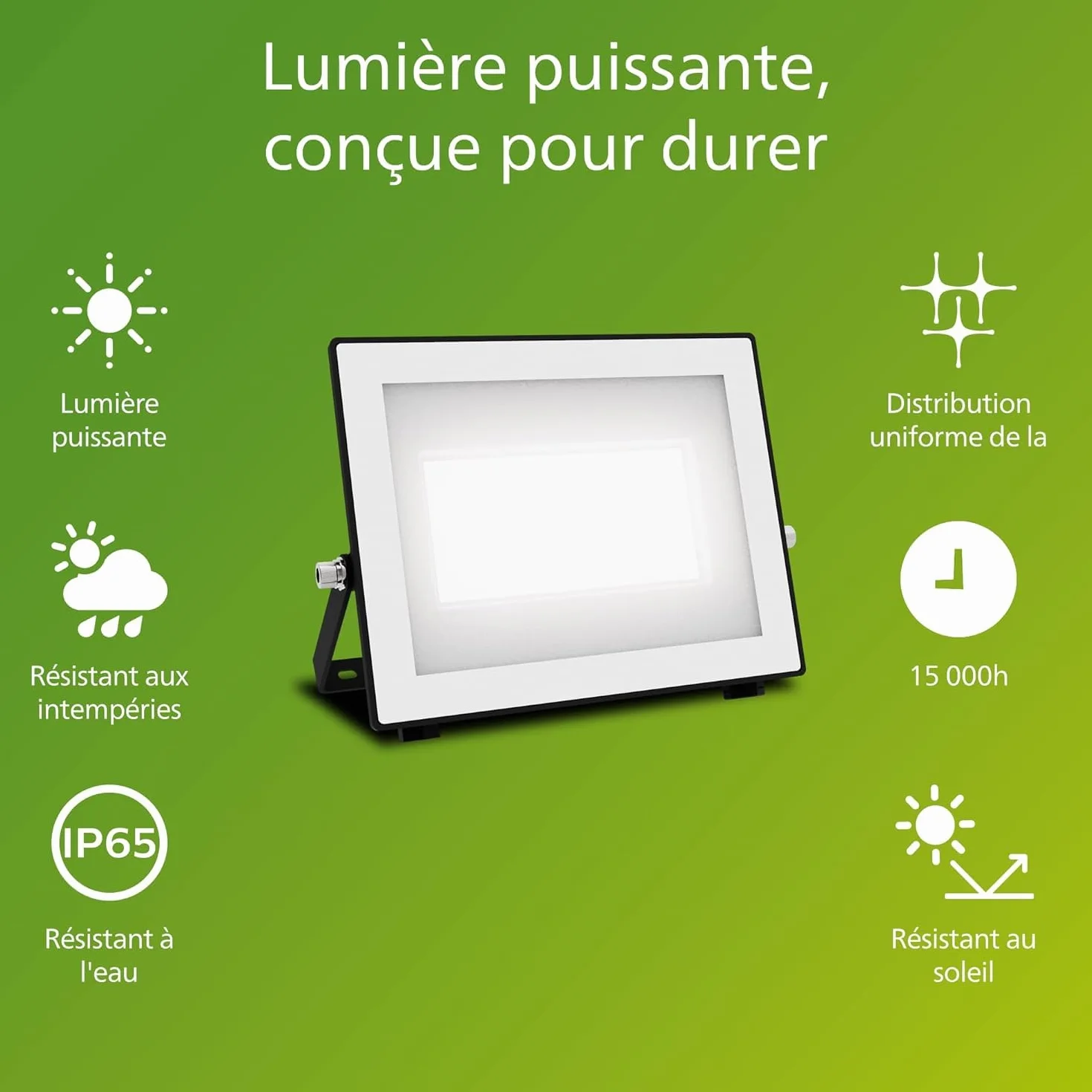 Philips Lois Projecteur Extérieur 50W 5000K Noir